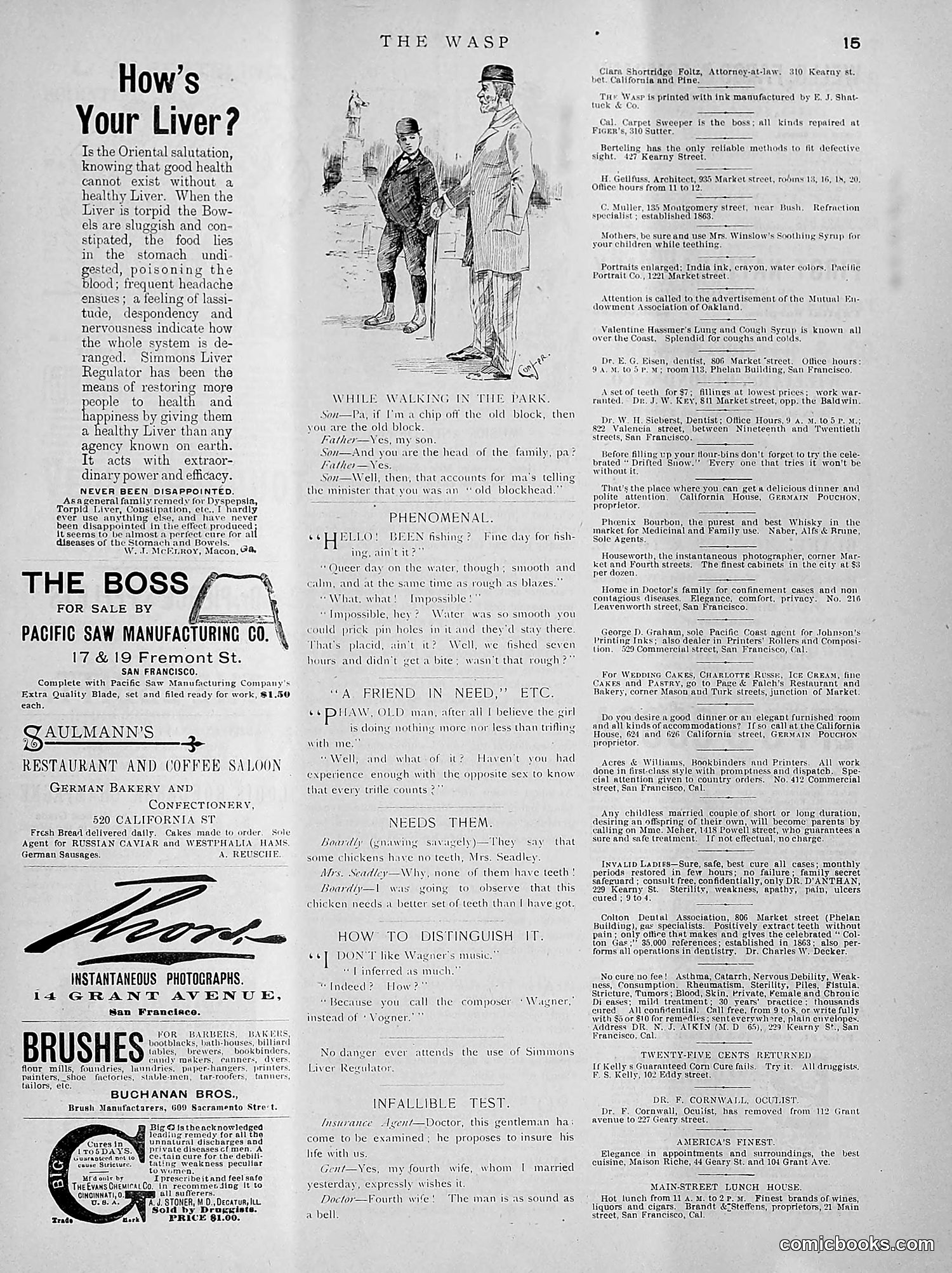 The Wasp — 1891 — page 218 of 612