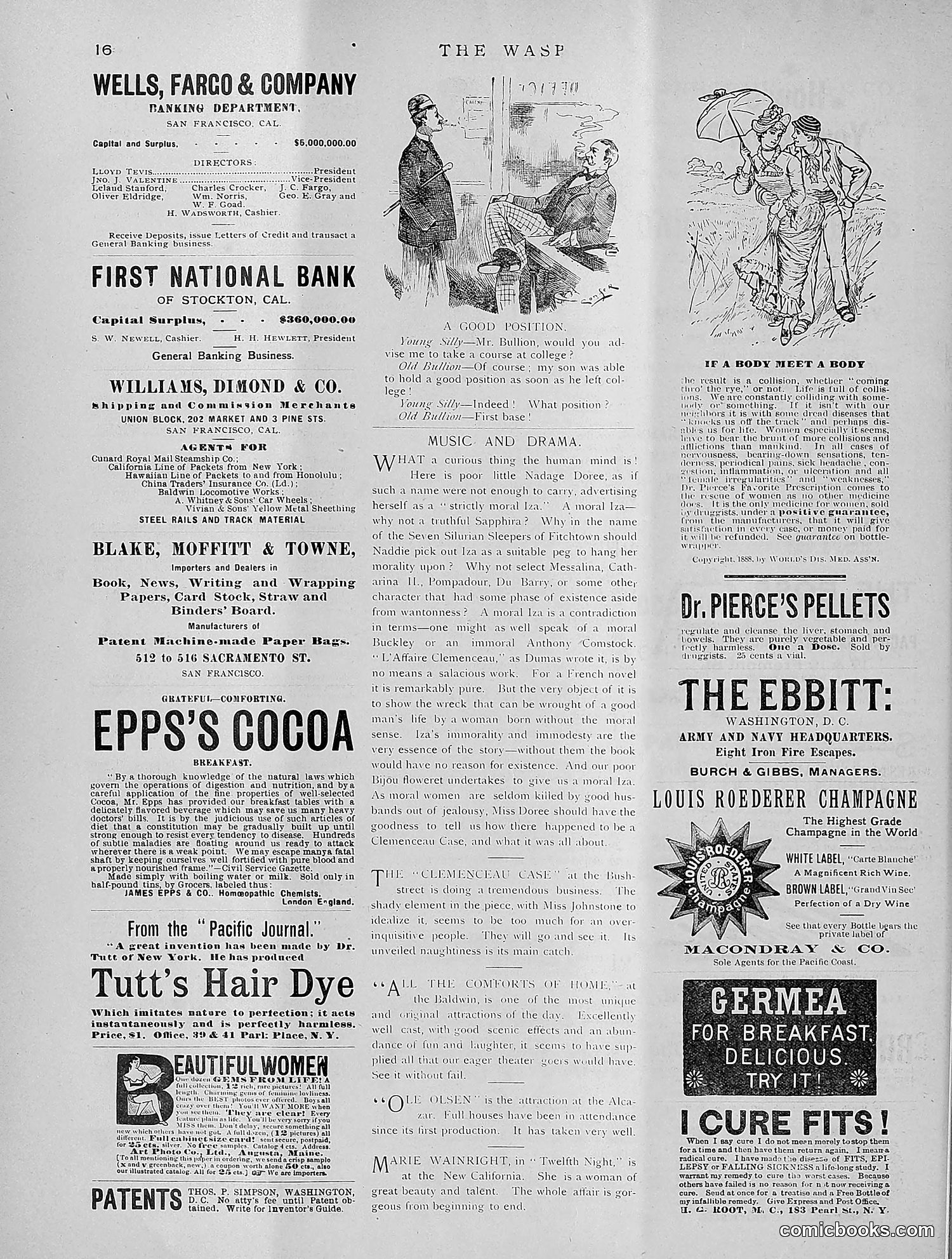 The Wasp — 1891 — page 219 of 612
