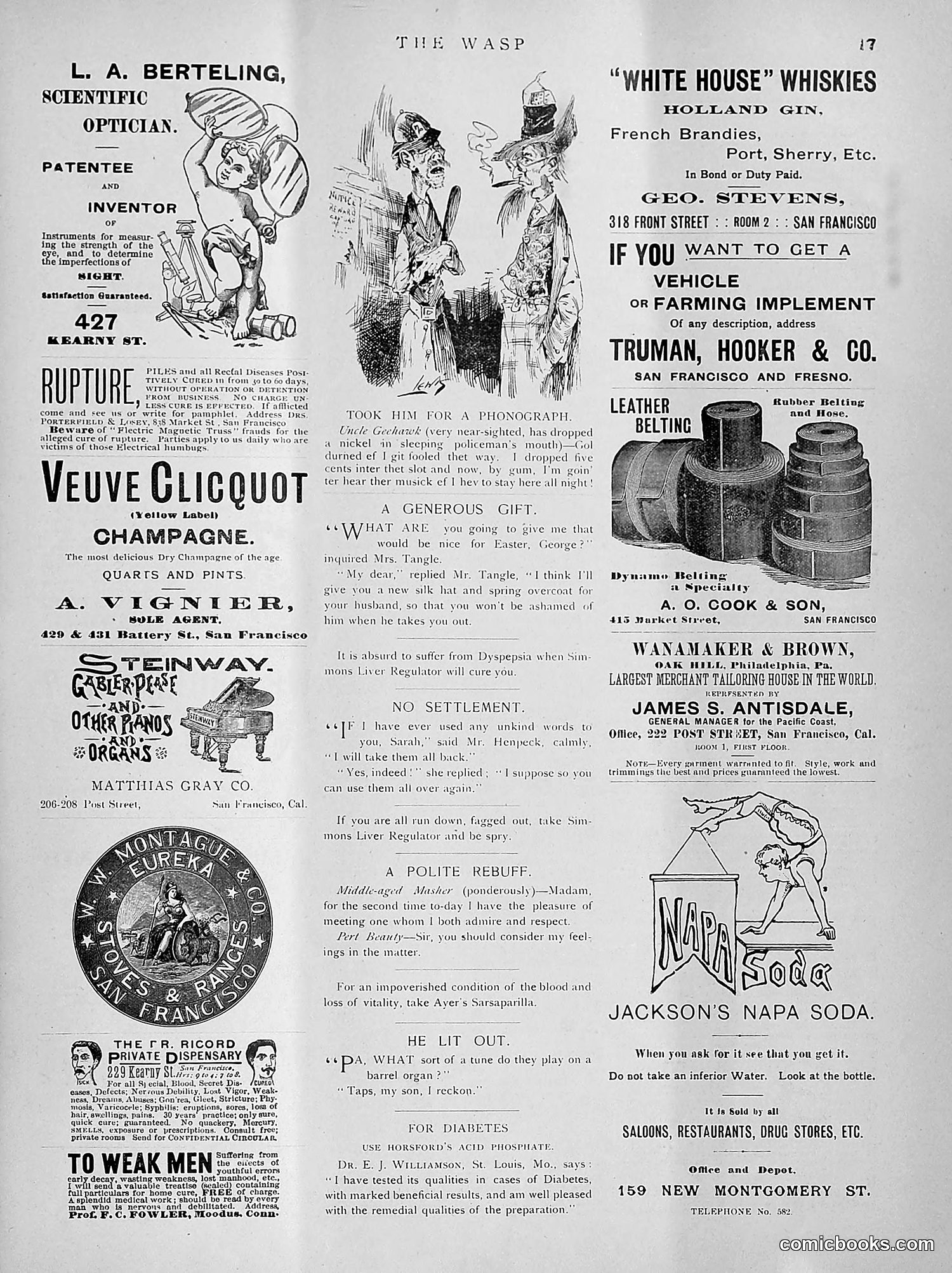 The Wasp — 1891 — page 220 of 612