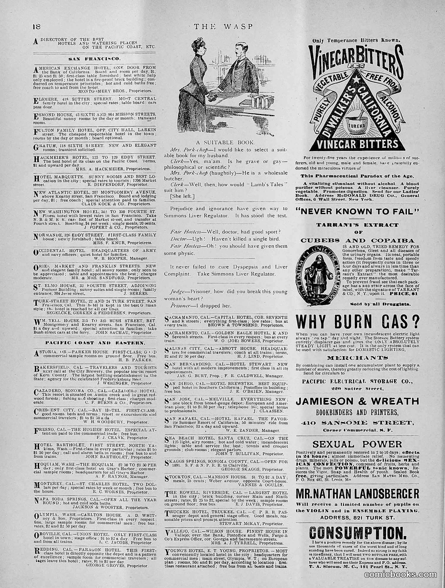 The Wasp — 1891 — page 221 of 612