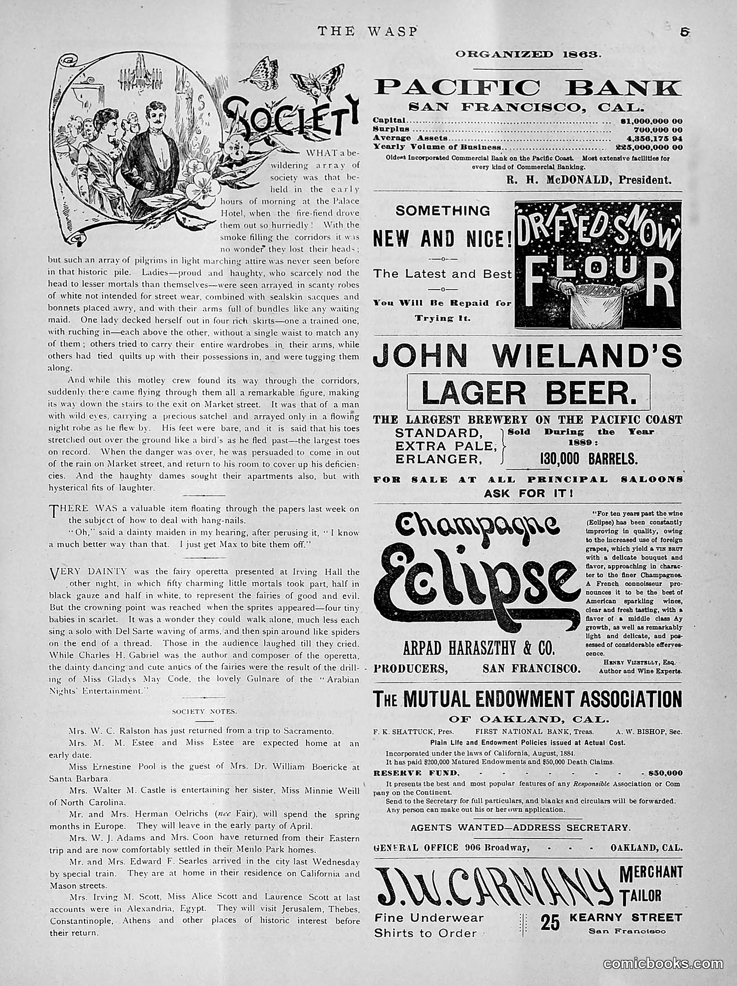 The Wasp — 1891 — page 228 of 612