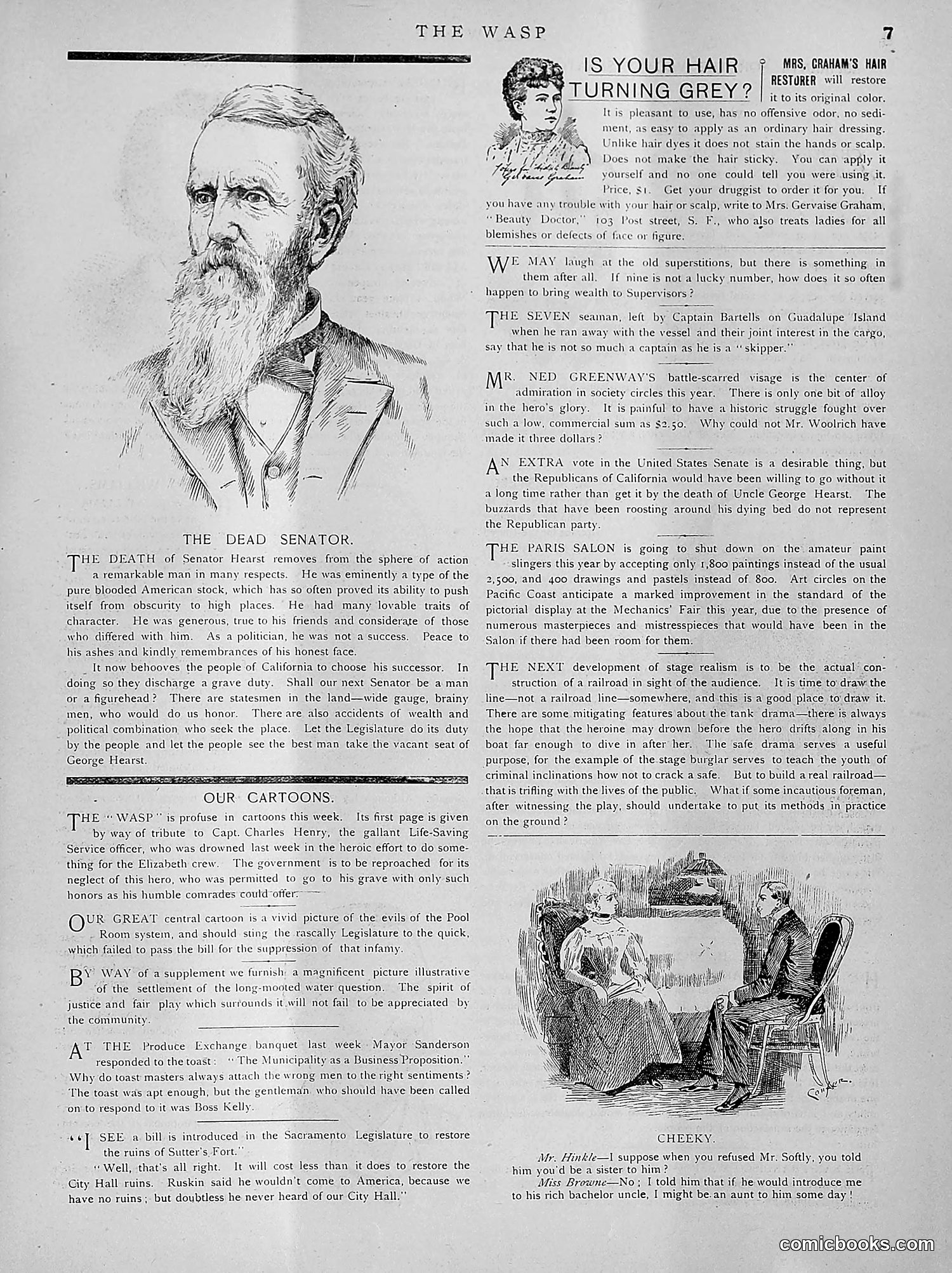 The Wasp — 1891 — page 230 of 612