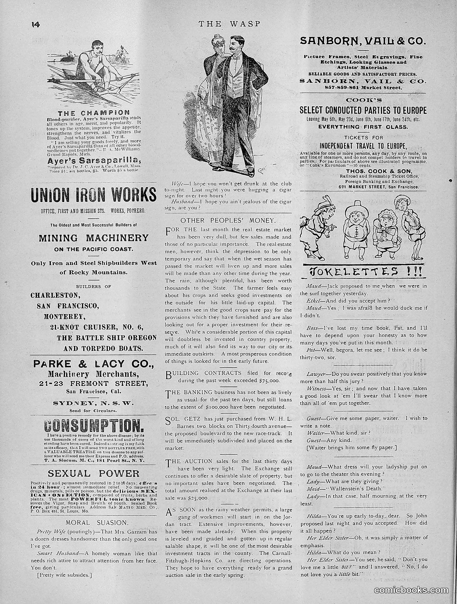 The Wasp — 1891 — page 237 of 612