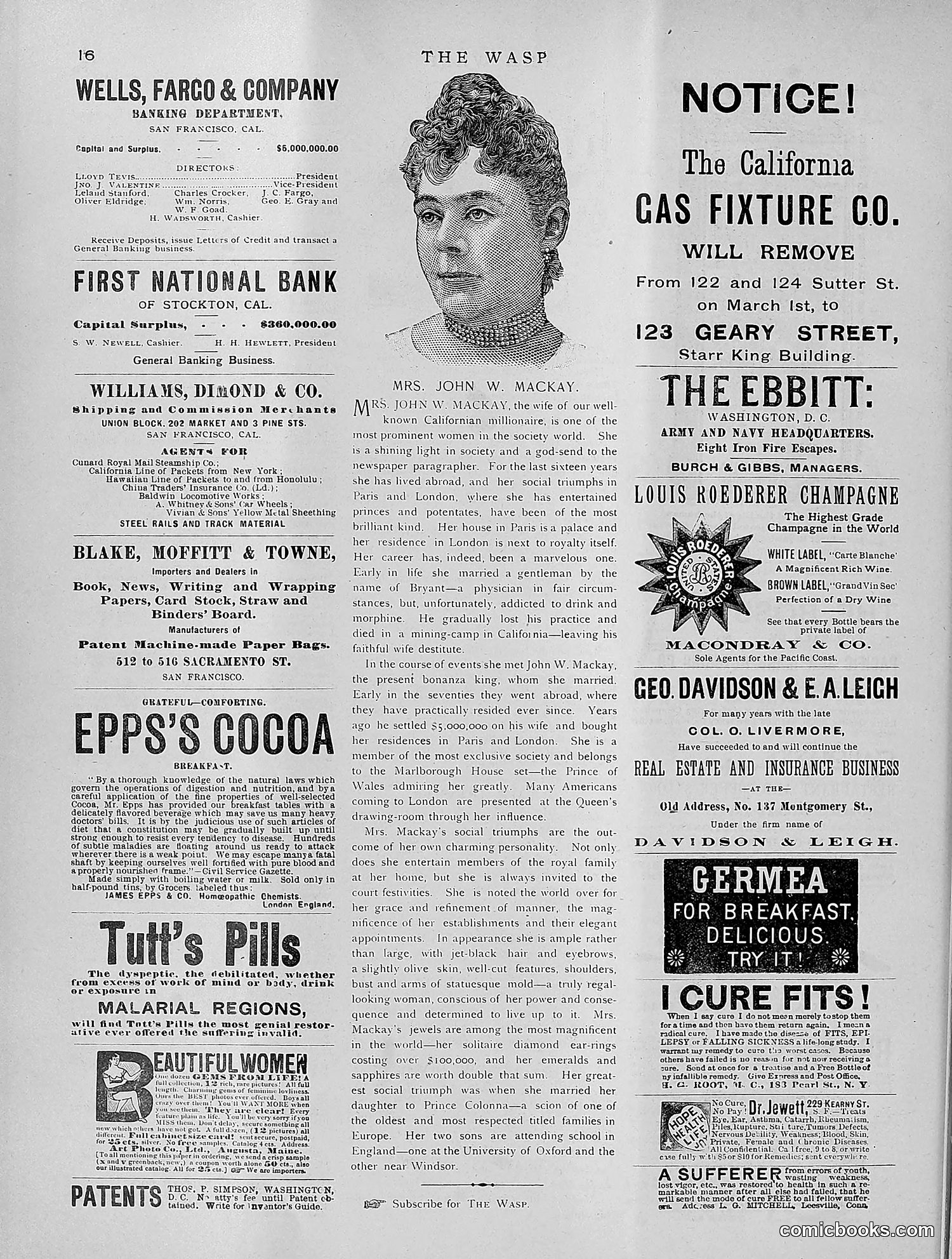 The Wasp — 1891 — page 239 of 612
