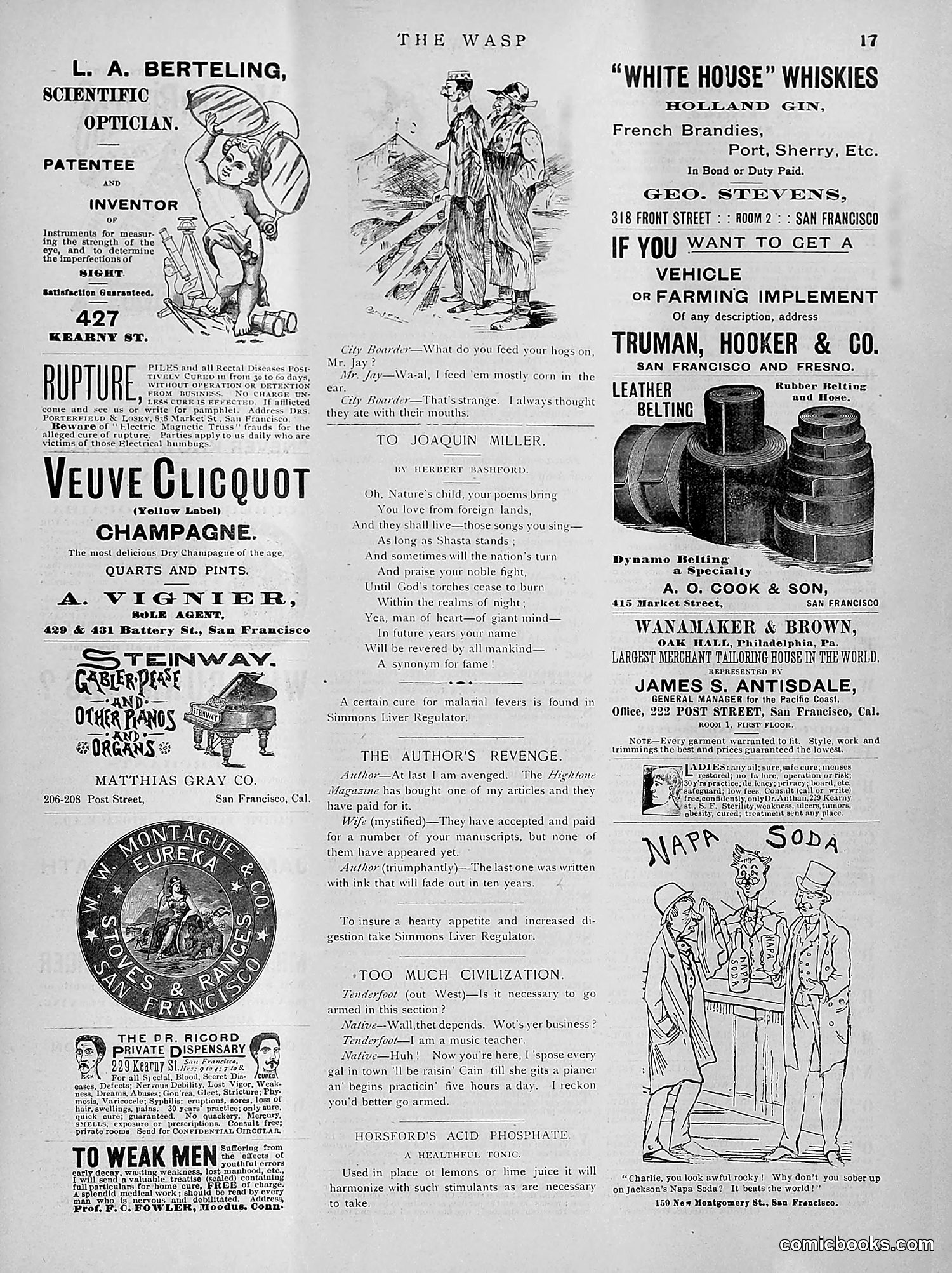 The Wasp — 1891 — page 240 of 612