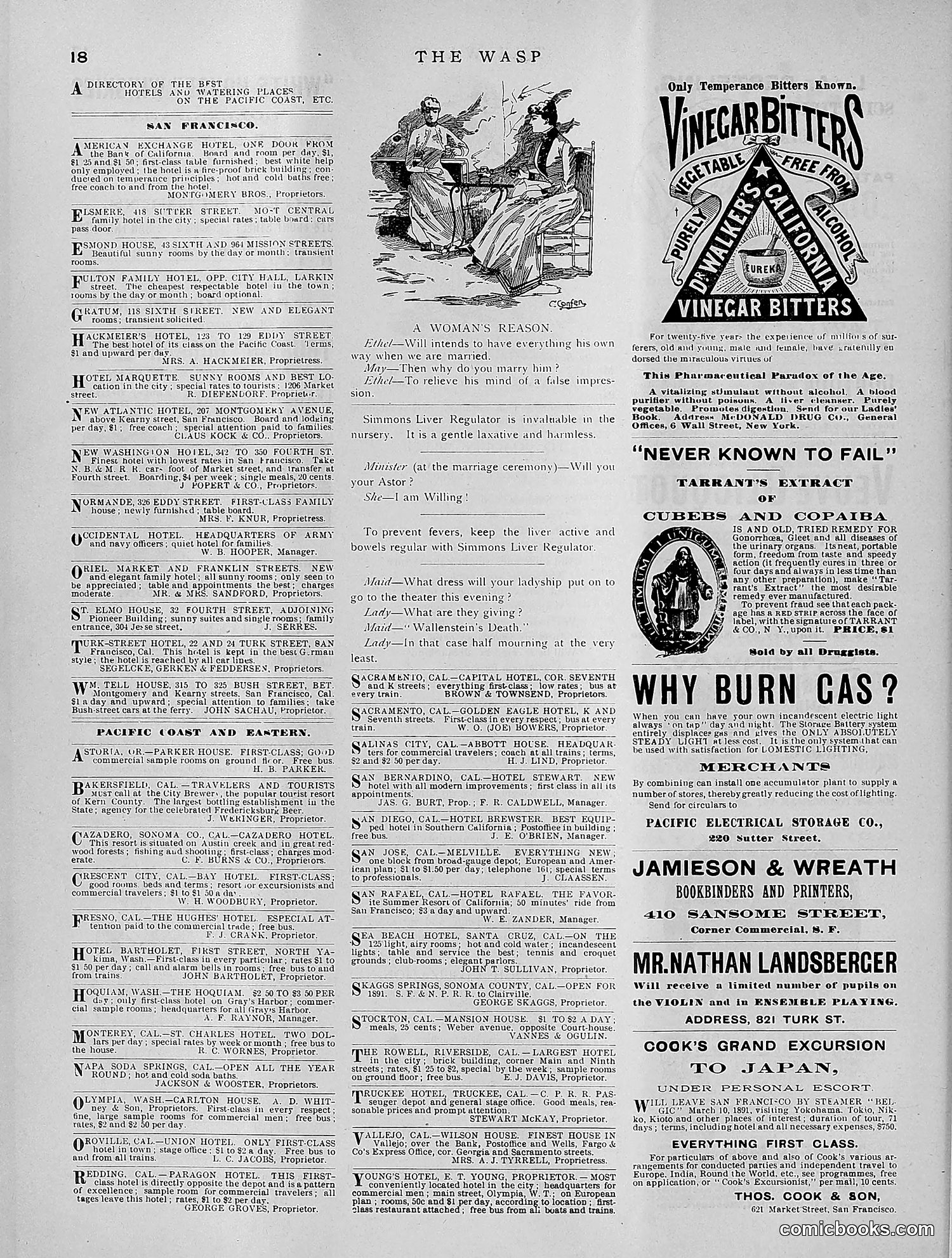 The Wasp — 1891 — page 241 of 612