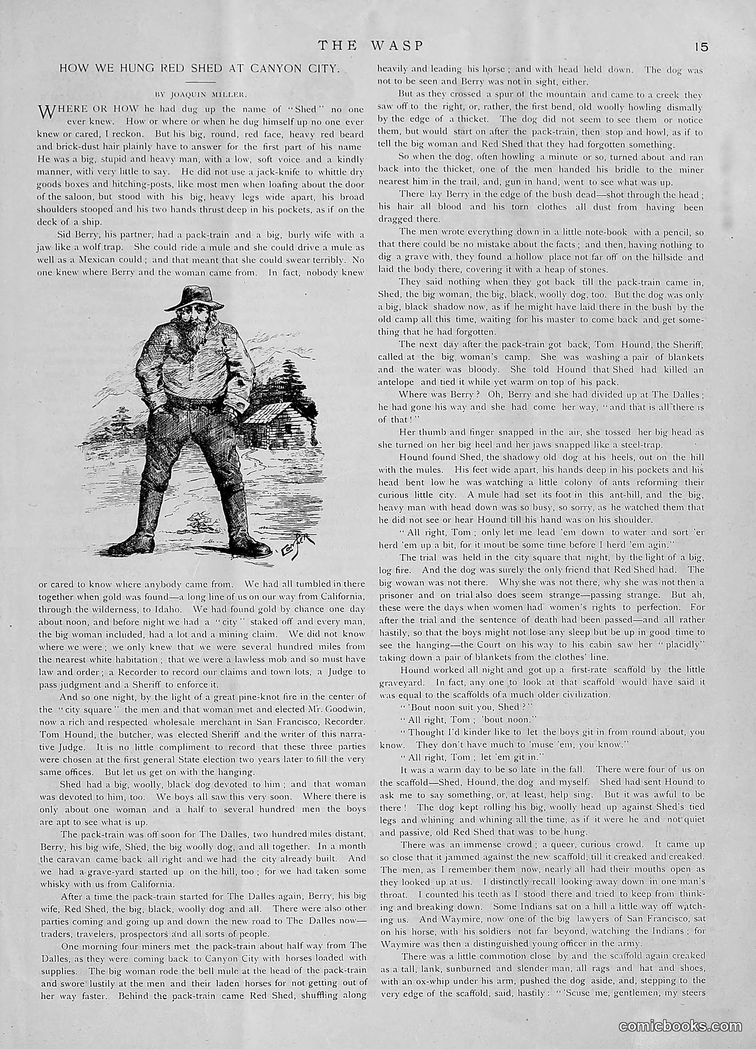 The Wasp — 1891 — page 26 of 612