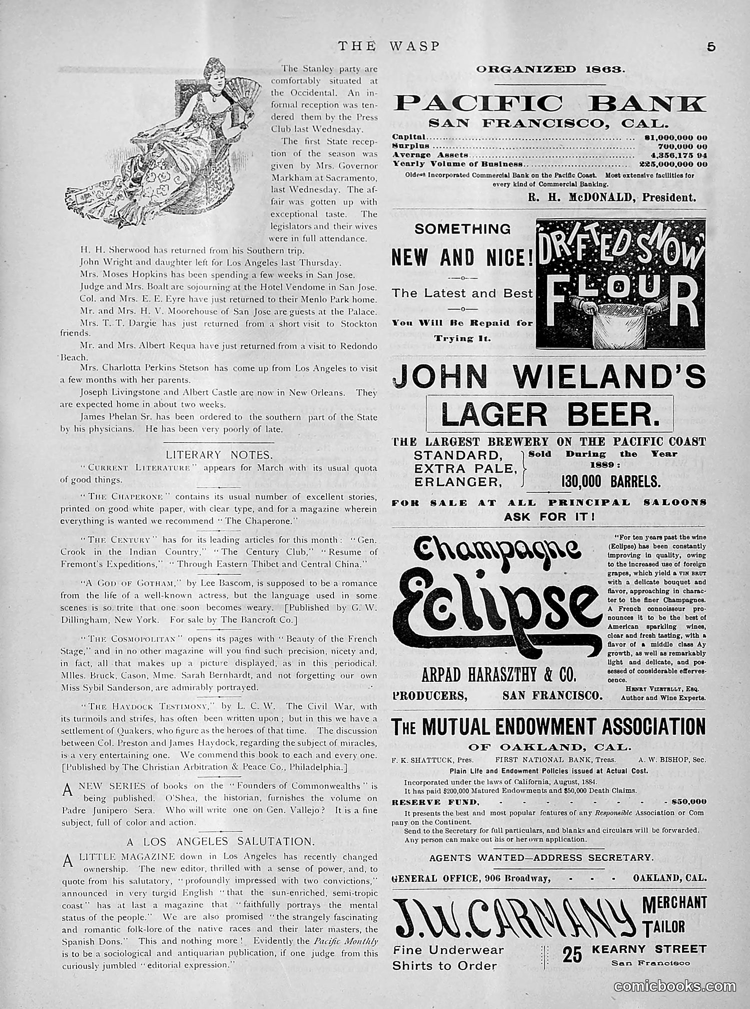 The Wasp — 1891 — page 252 of 612