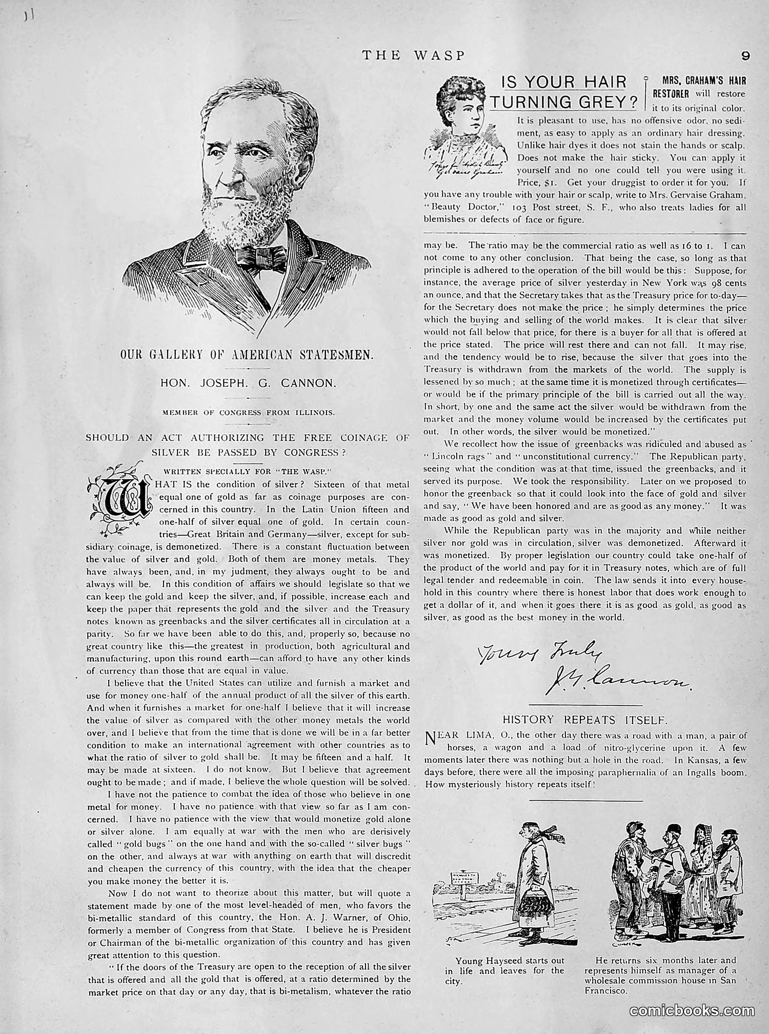 The Wasp — 1891 — page 254 of 612