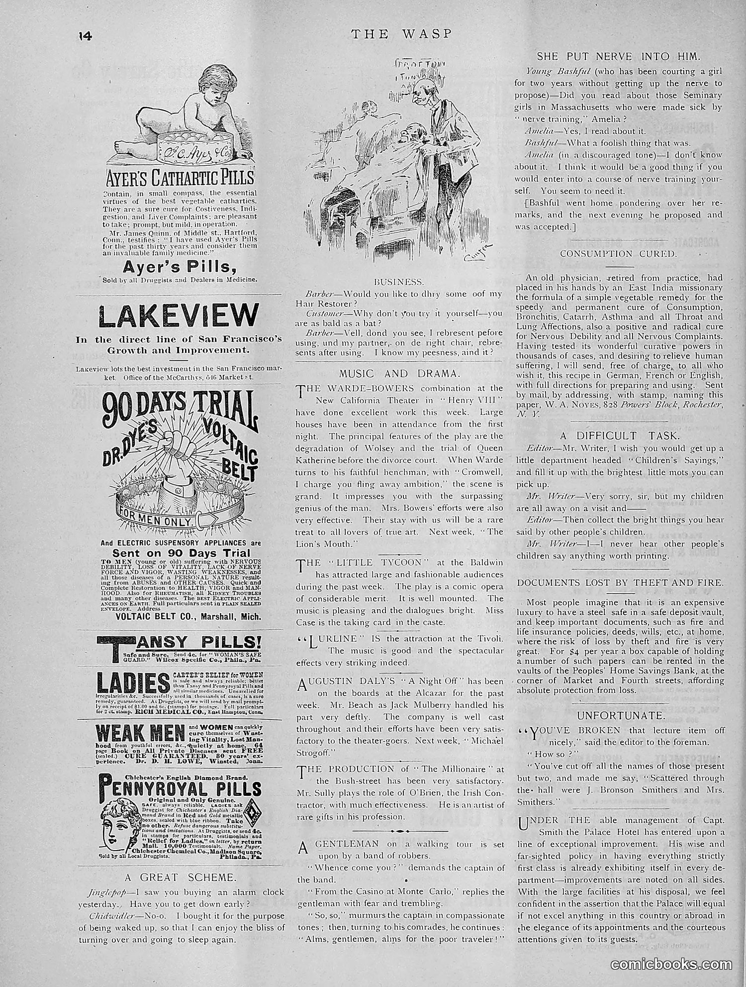 The Wasp — 1891 — page 259 of 612
