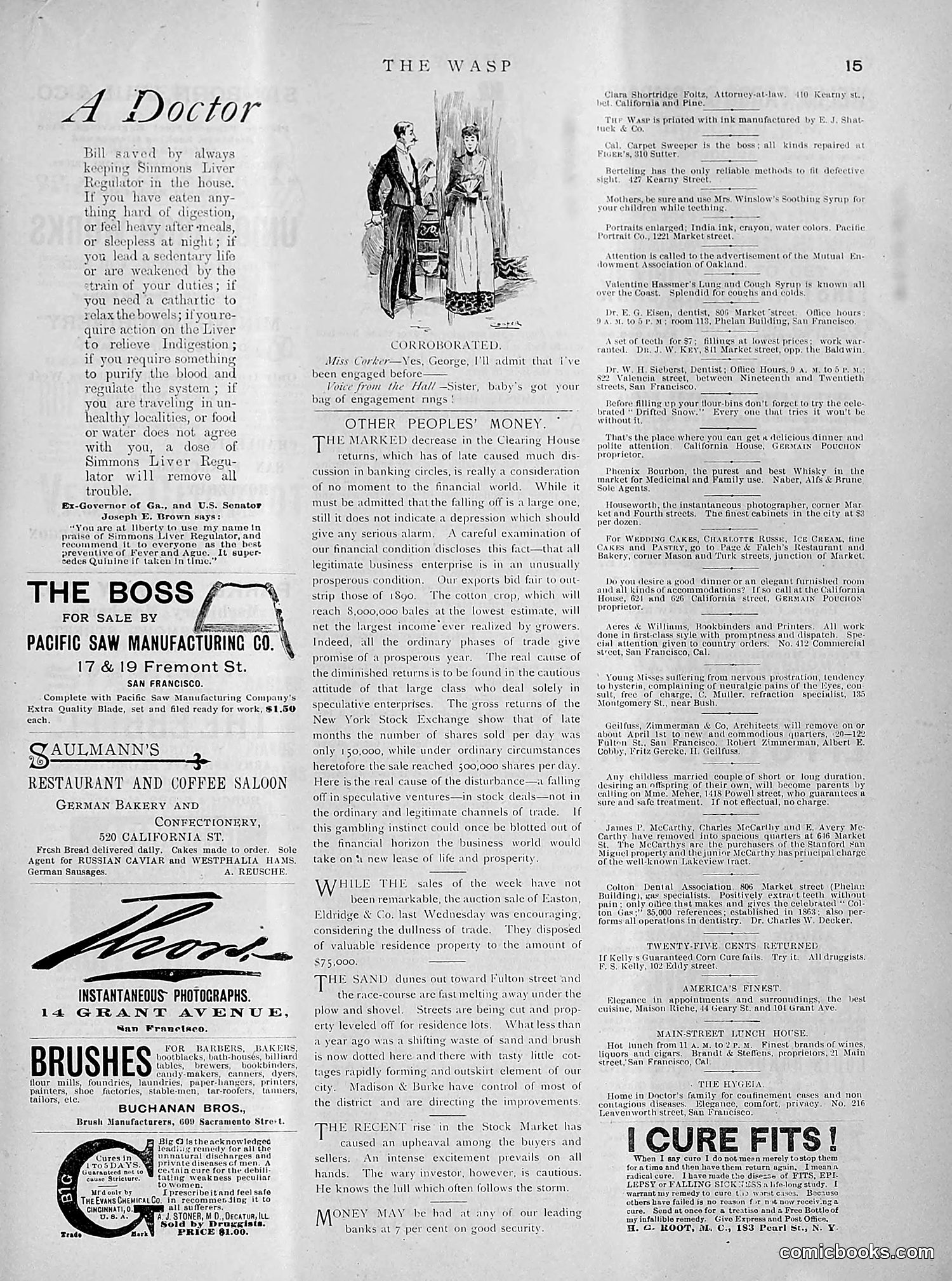 The Wasp — 1891 — page 260 of 612