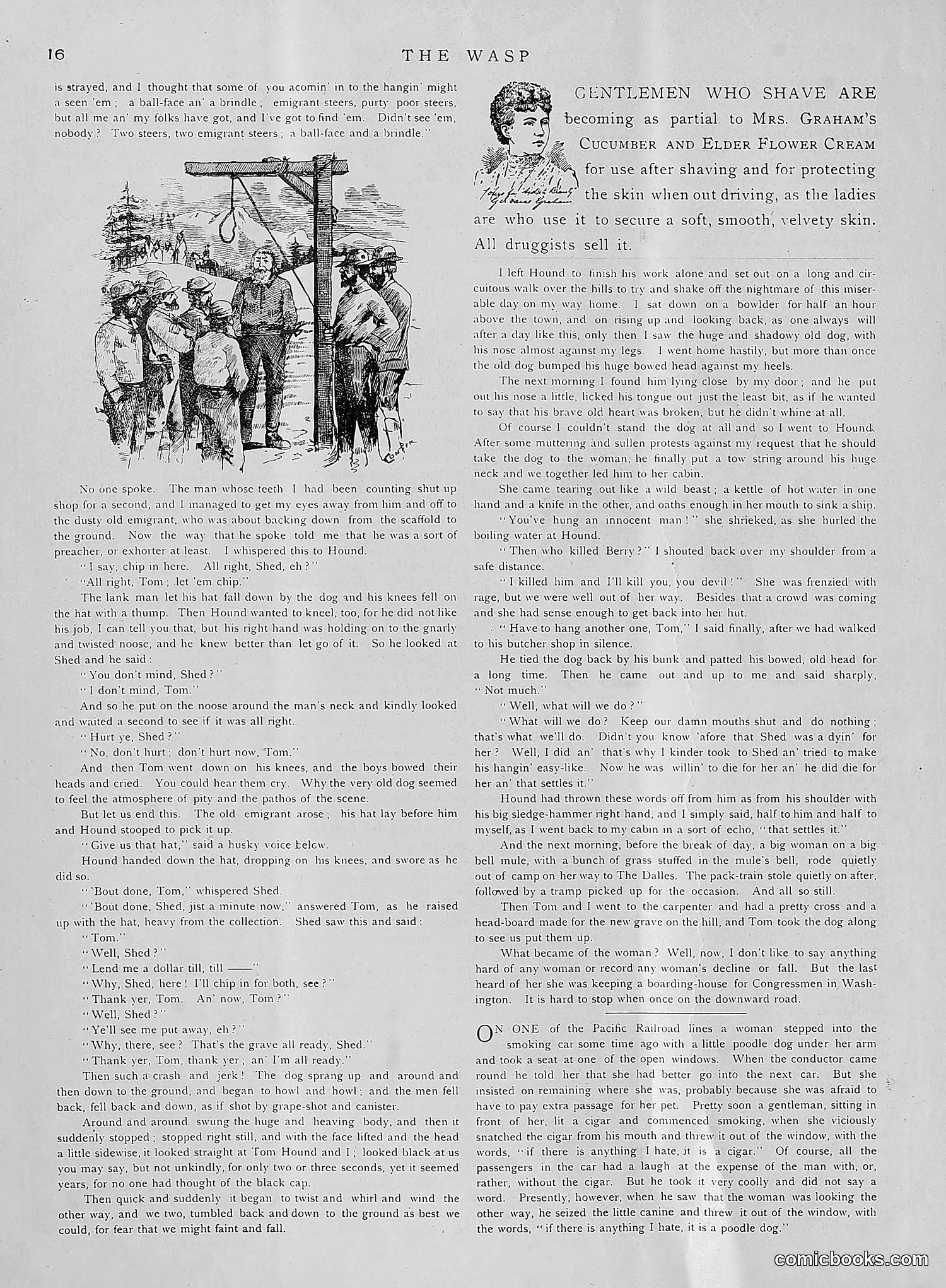 The Wasp — 1891 — page 27 of 612