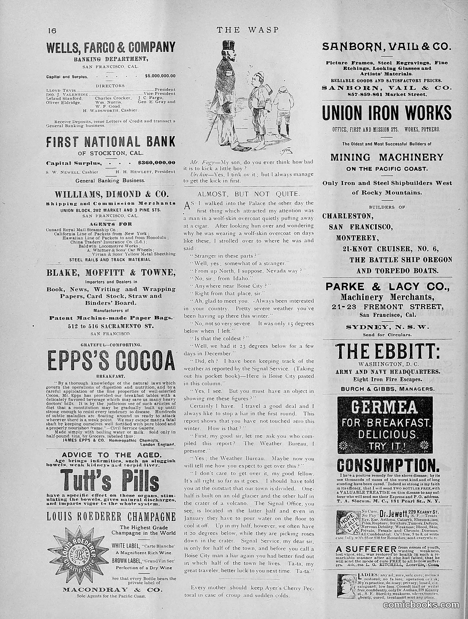 The Wasp — 1891 — page 261 of 612