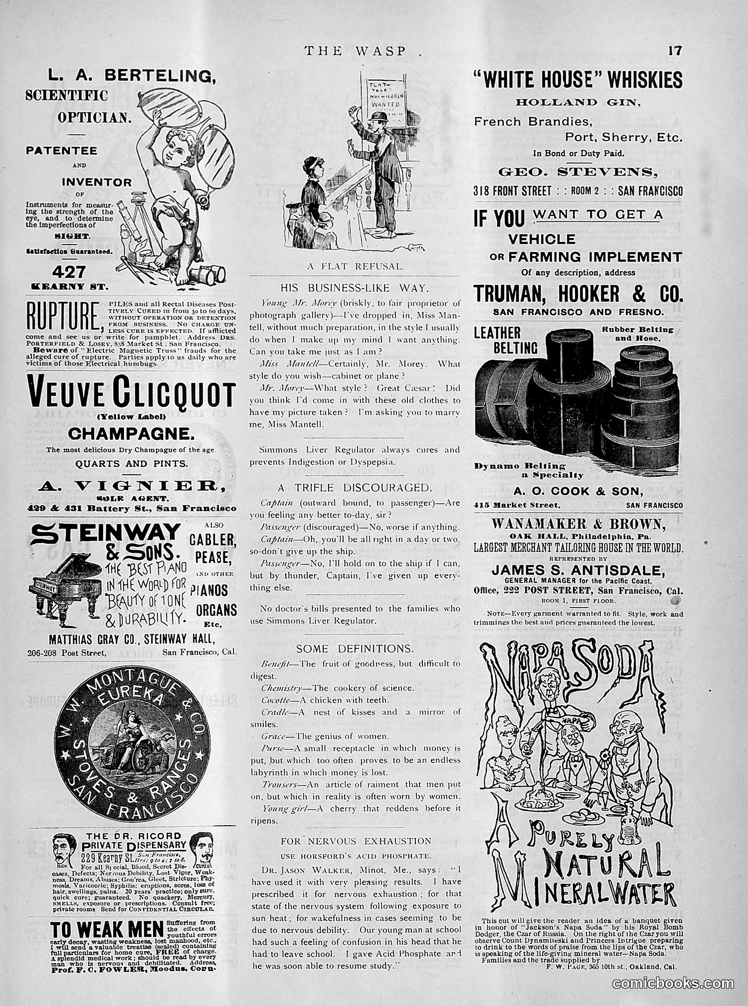 The Wasp — 1891 — page 262 of 612