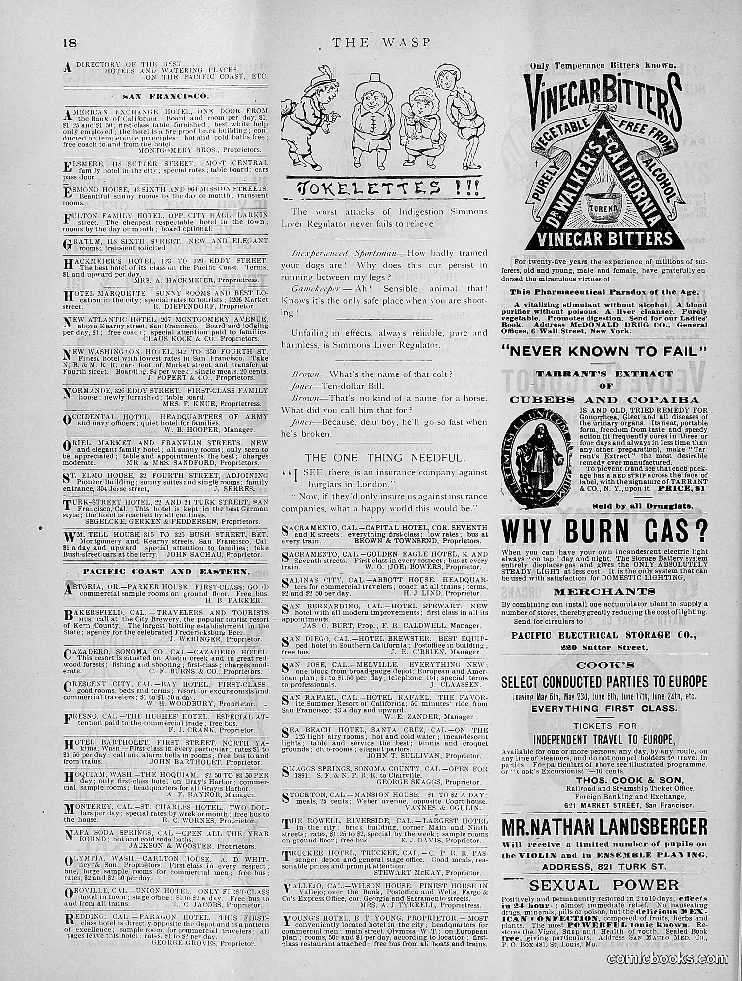 The Wasp — 1891 — page 263 of 612