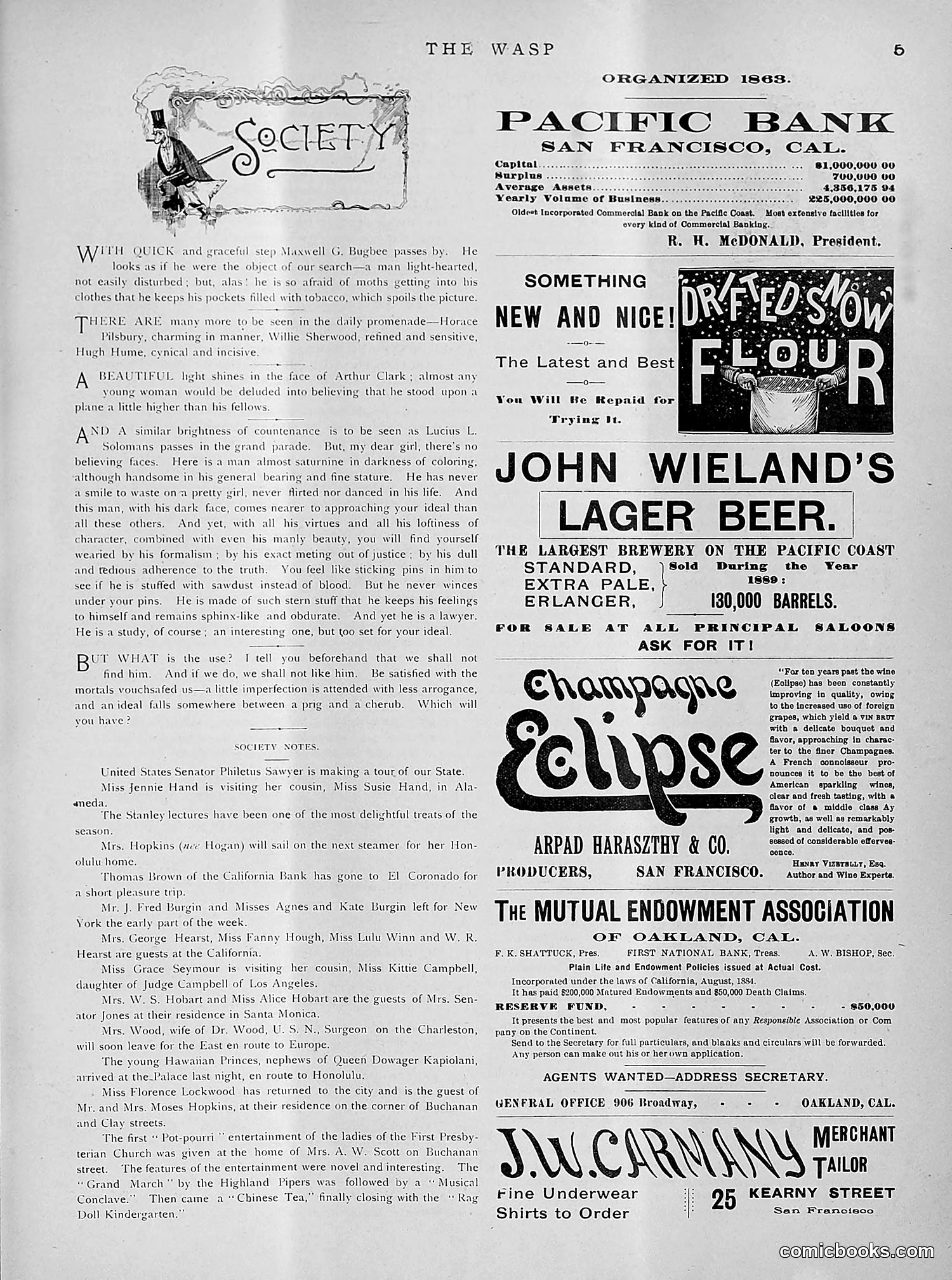 The Wasp — 1891 — page 270 of 612