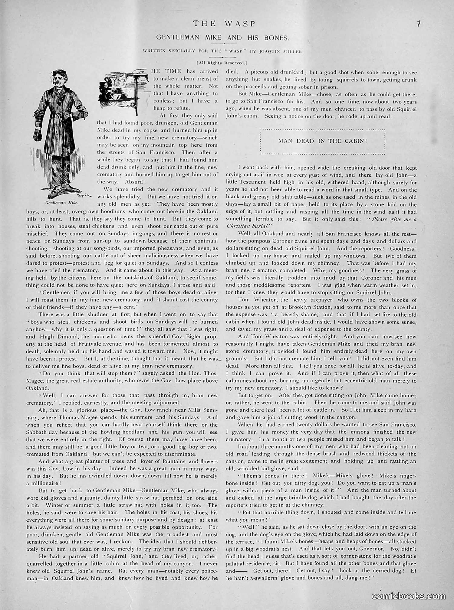 The Wasp — 1891 — page 272 of 612