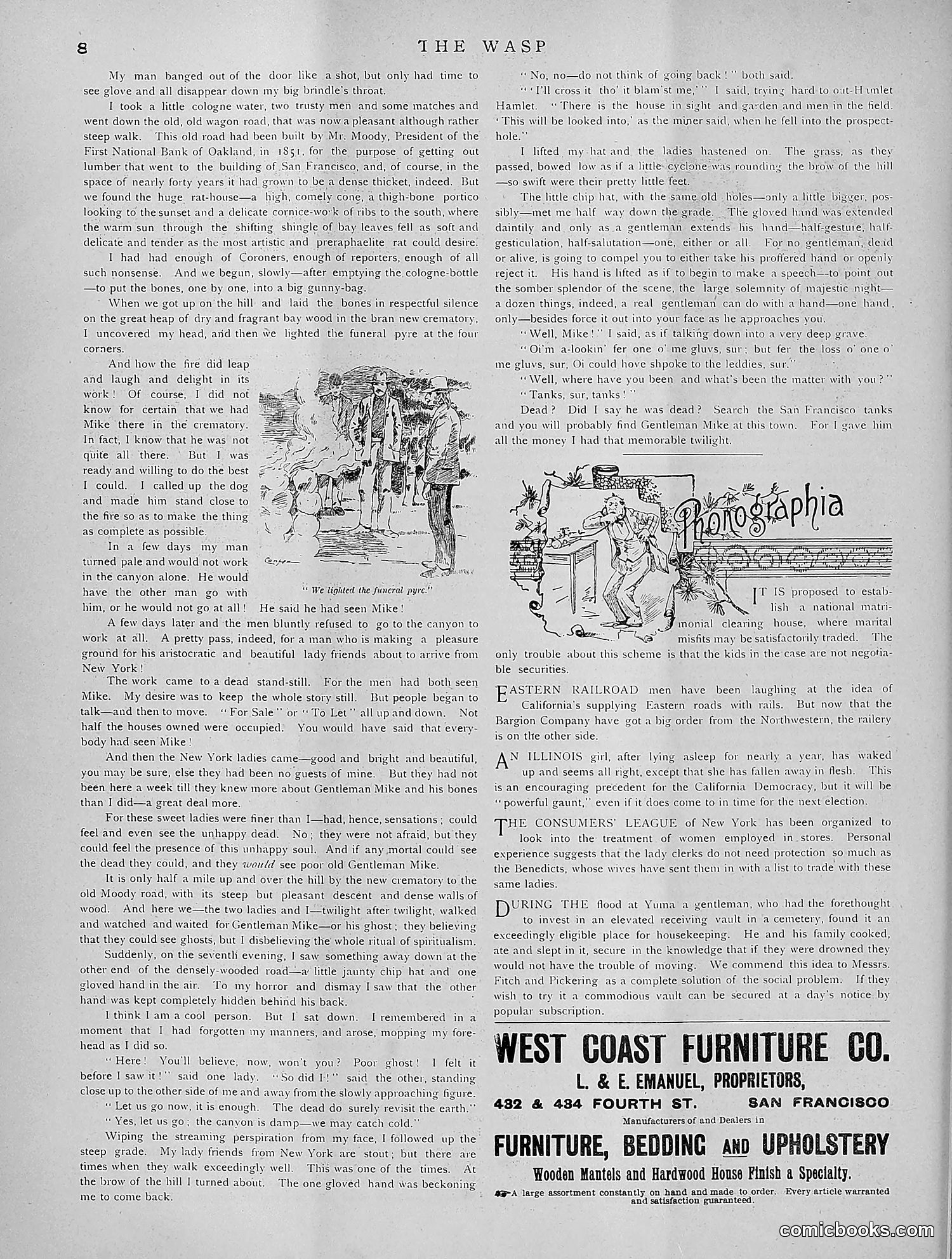 The Wasp — 1891 — page 273 of 612
