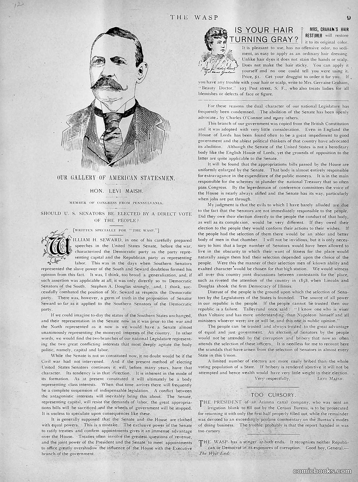 The Wasp — 1891 — page 274 of 612