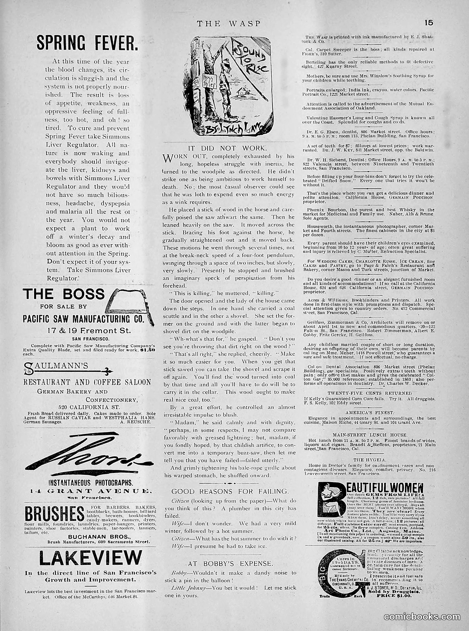 The Wasp — 1891 — page 280 of 612