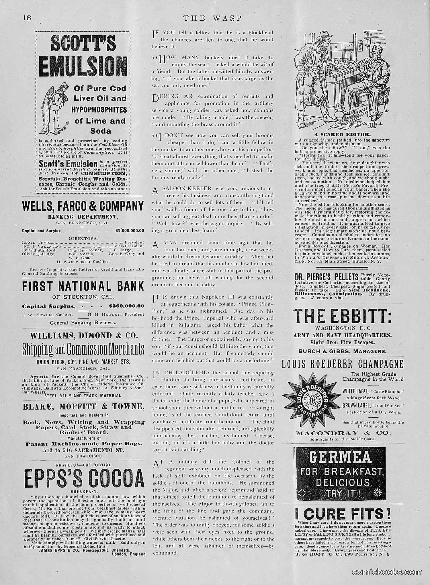 The Wasp — 1891 — page 29 of 612