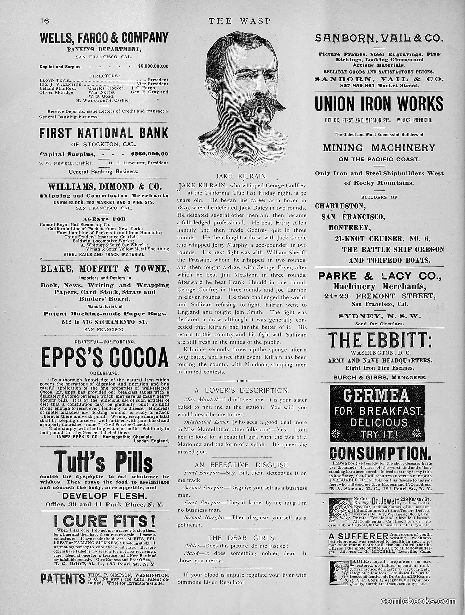 The Wasp — 1891 — page 281 of 612