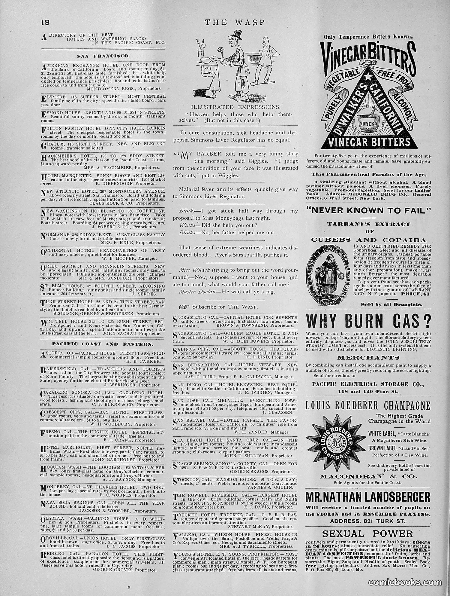 The Wasp — 1891 — page 283 of 612