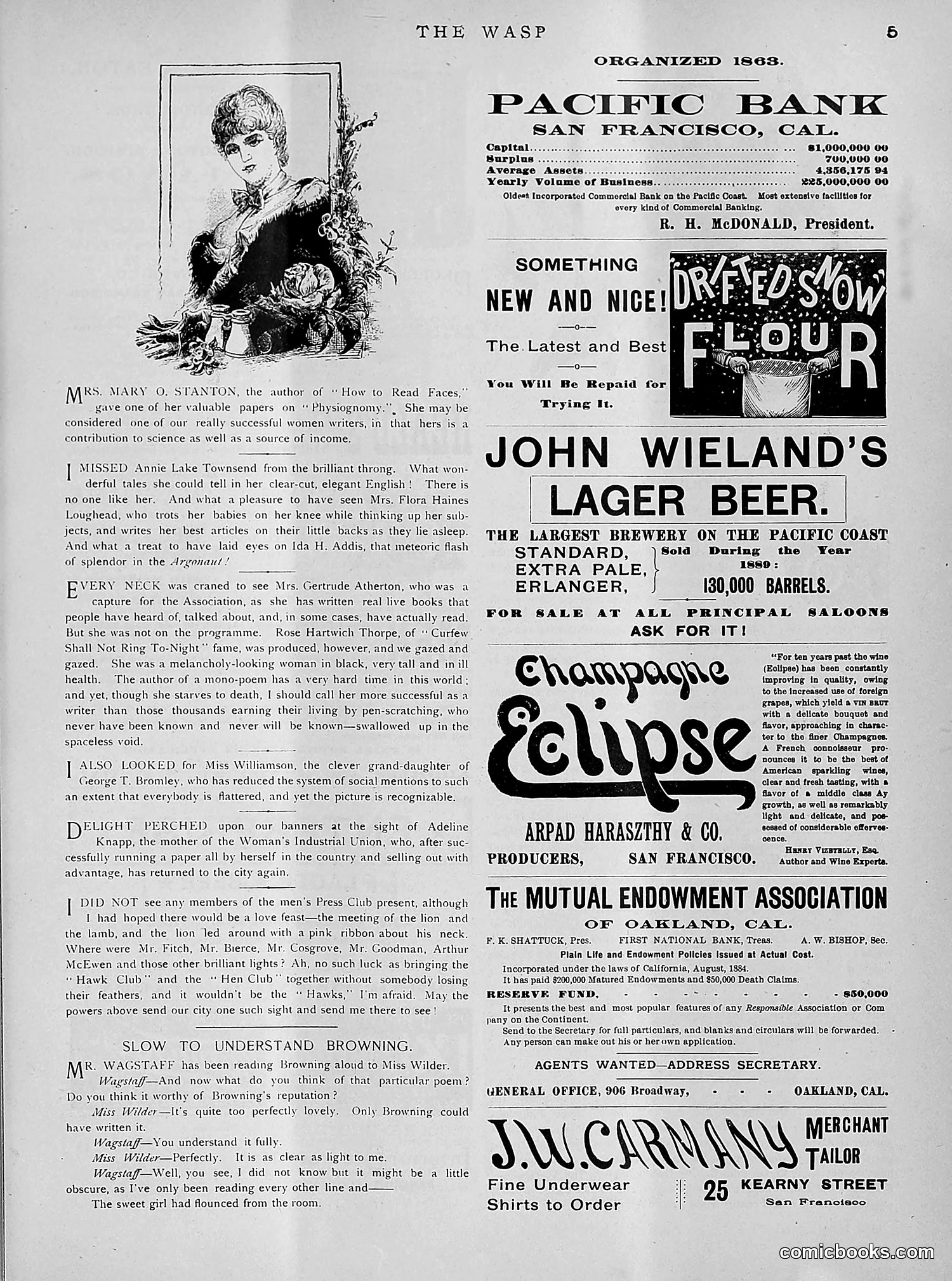 The Wasp — 1891 — page 290 of 612
