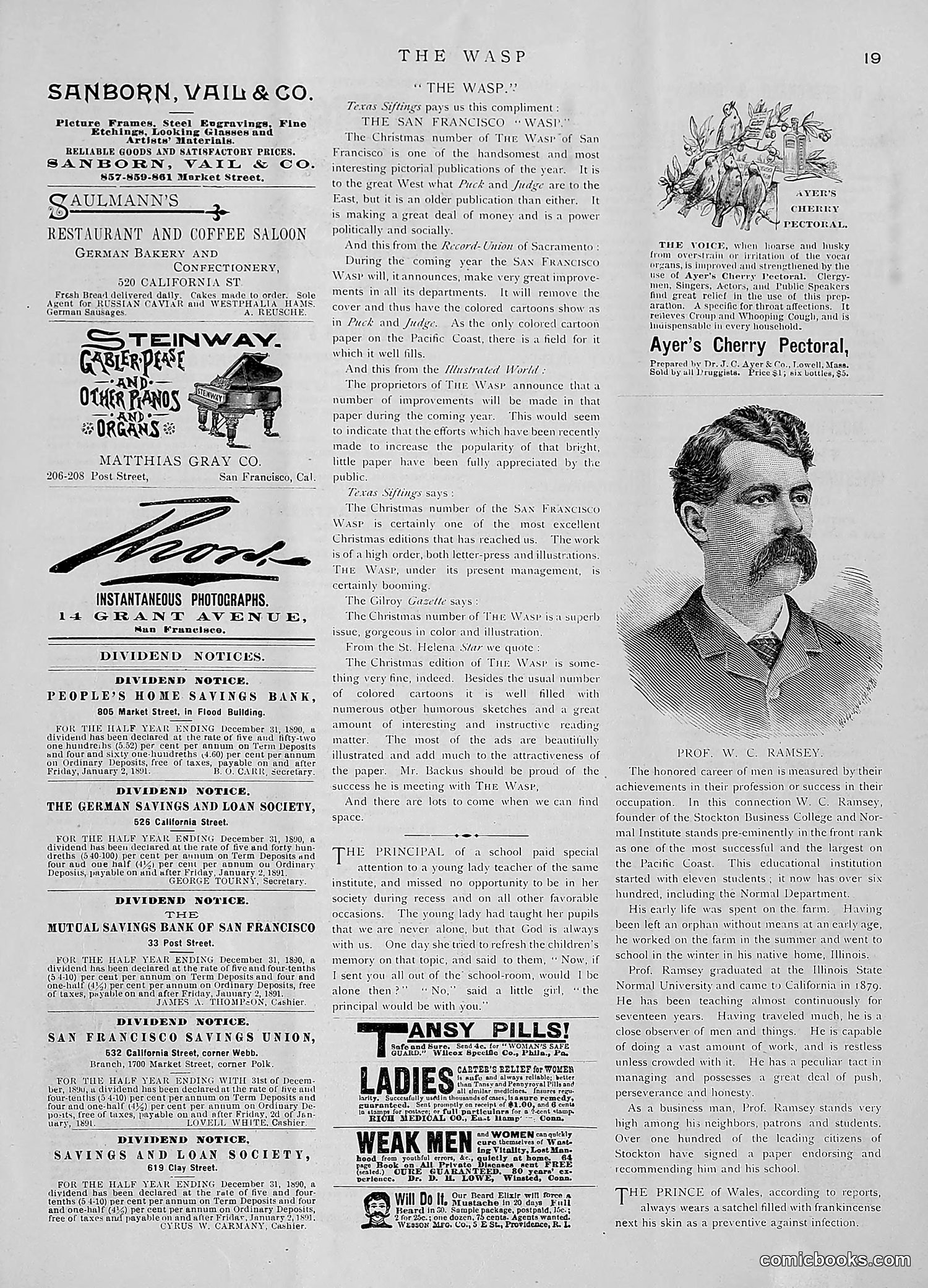 The Wasp — 1891 — page 30 of 612