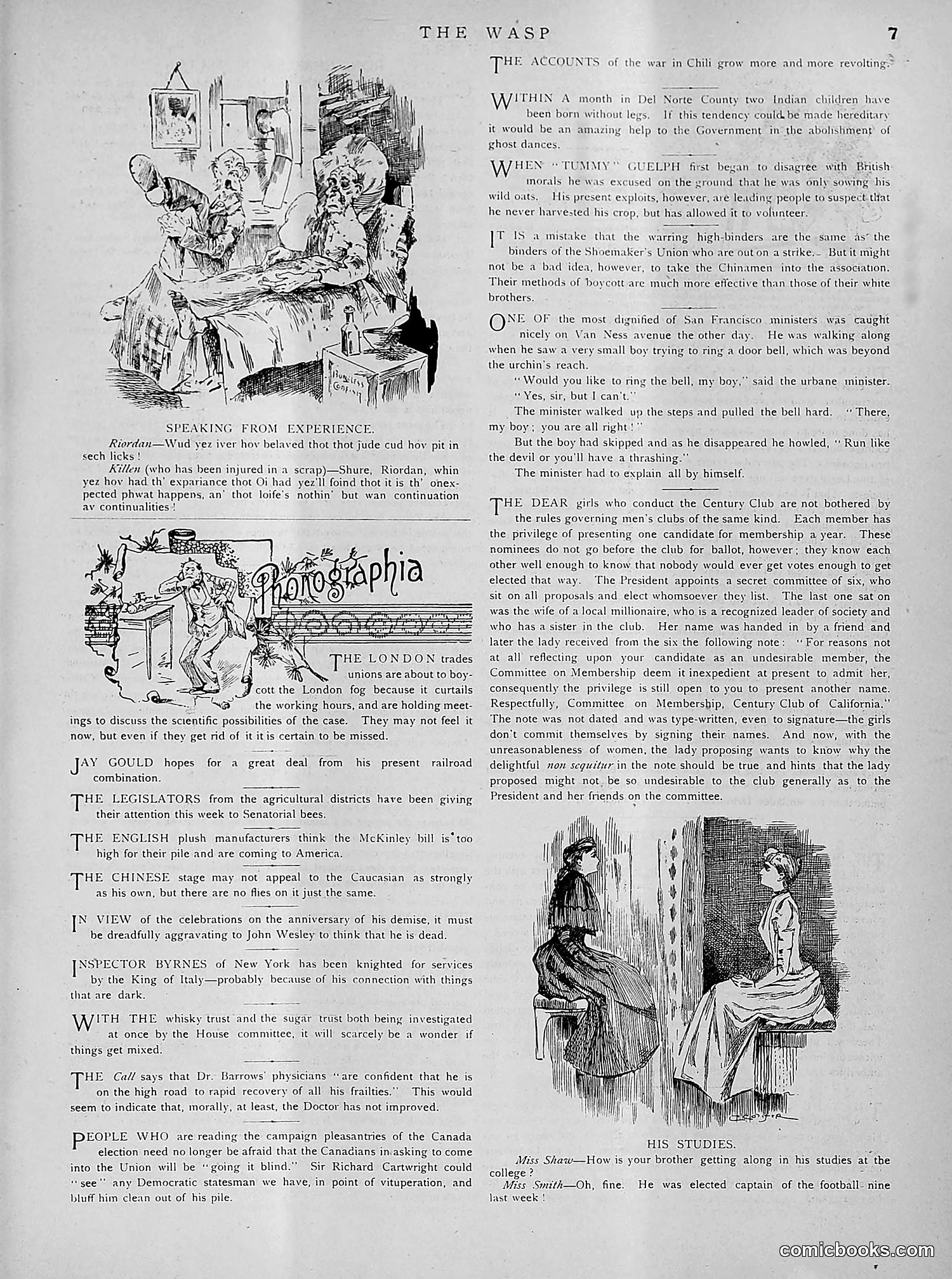 The Wasp — 1891 — page 292 of 612