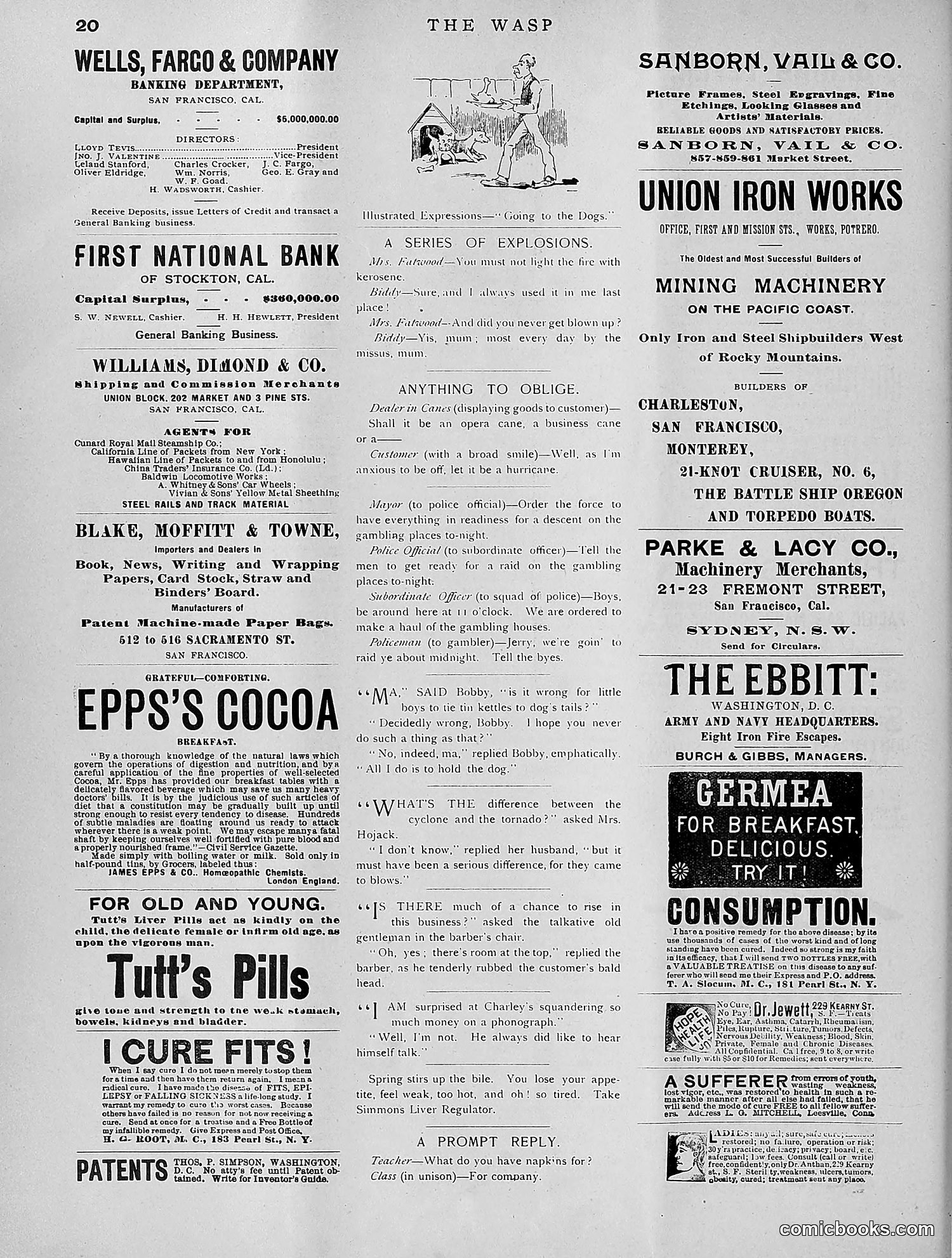 The Wasp — 1891 — page 305 of 612