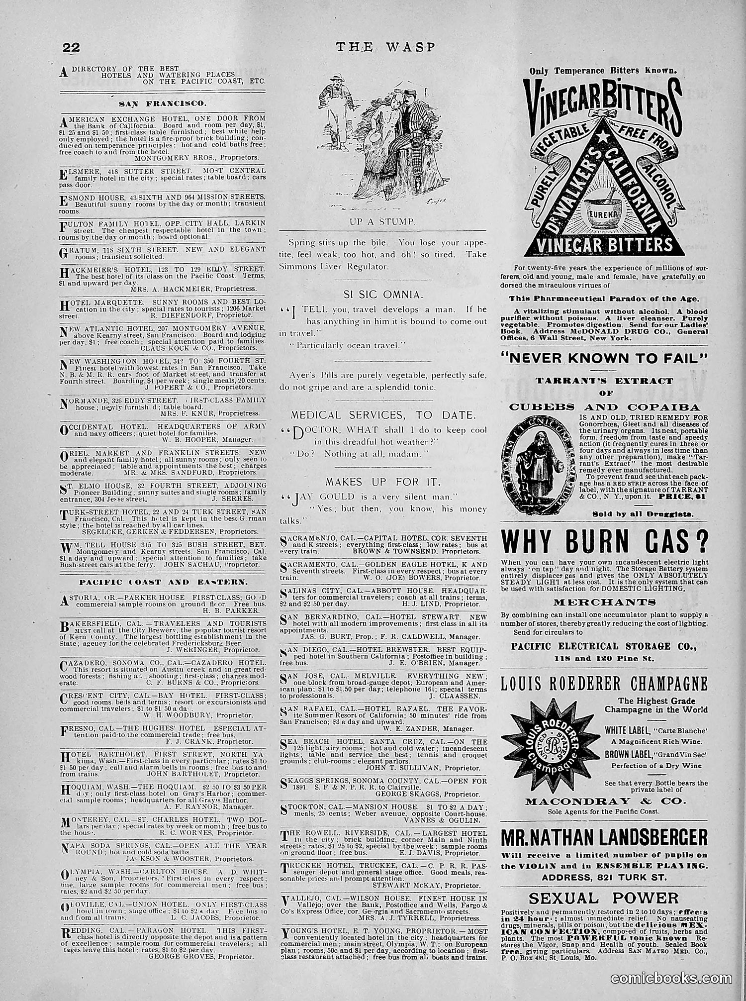 The Wasp — 1891 — page 307 of 612