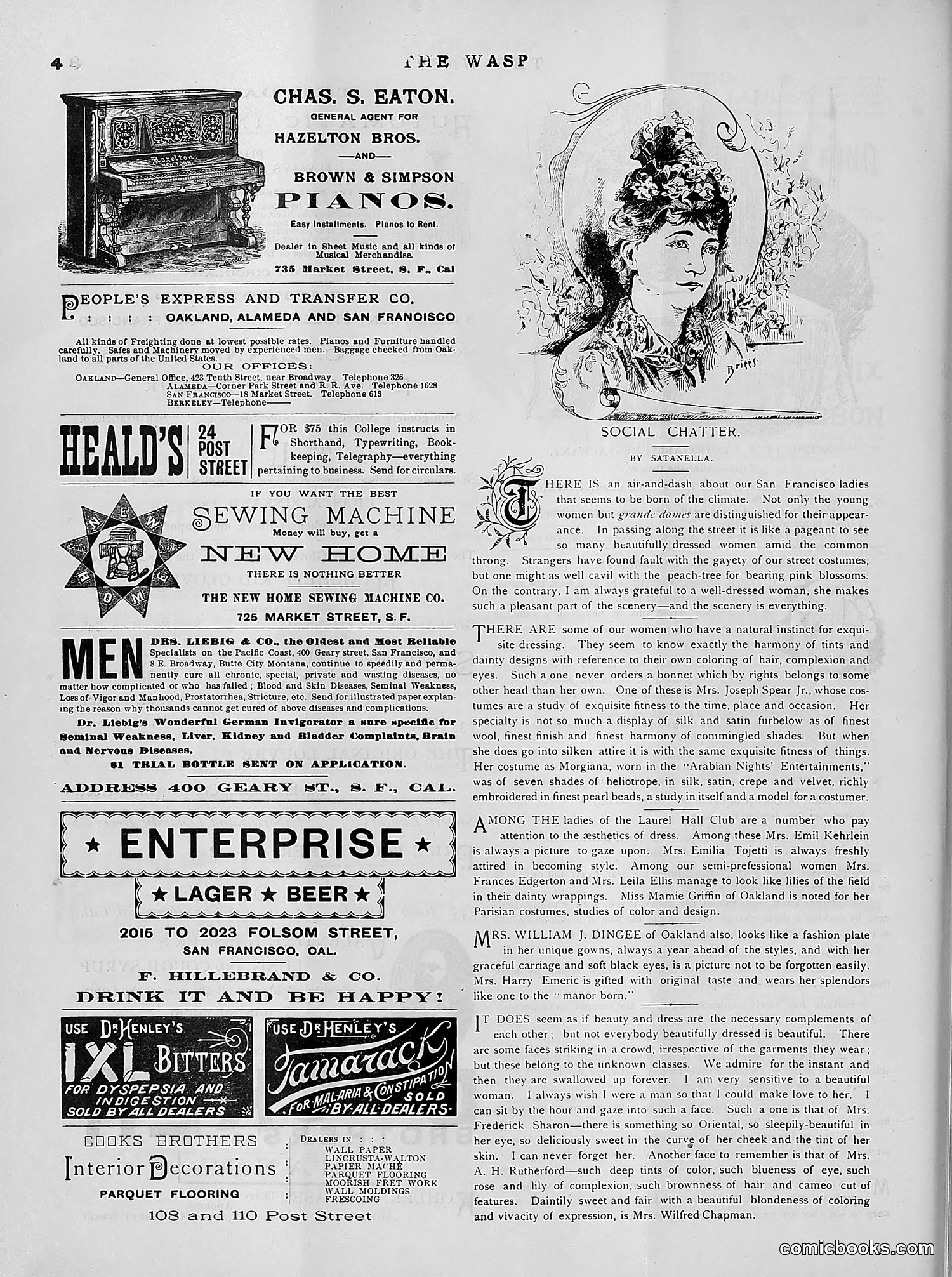 The Wasp — 1891 — page 313 of 612