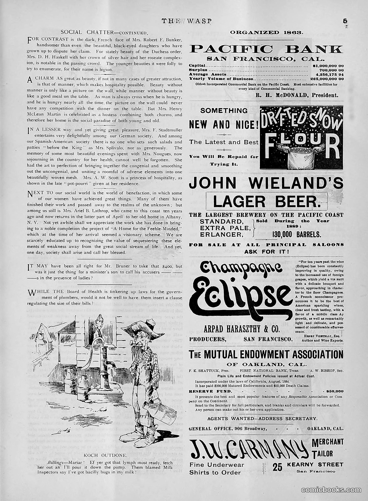 The Wasp — 1891 — page 314 of 612