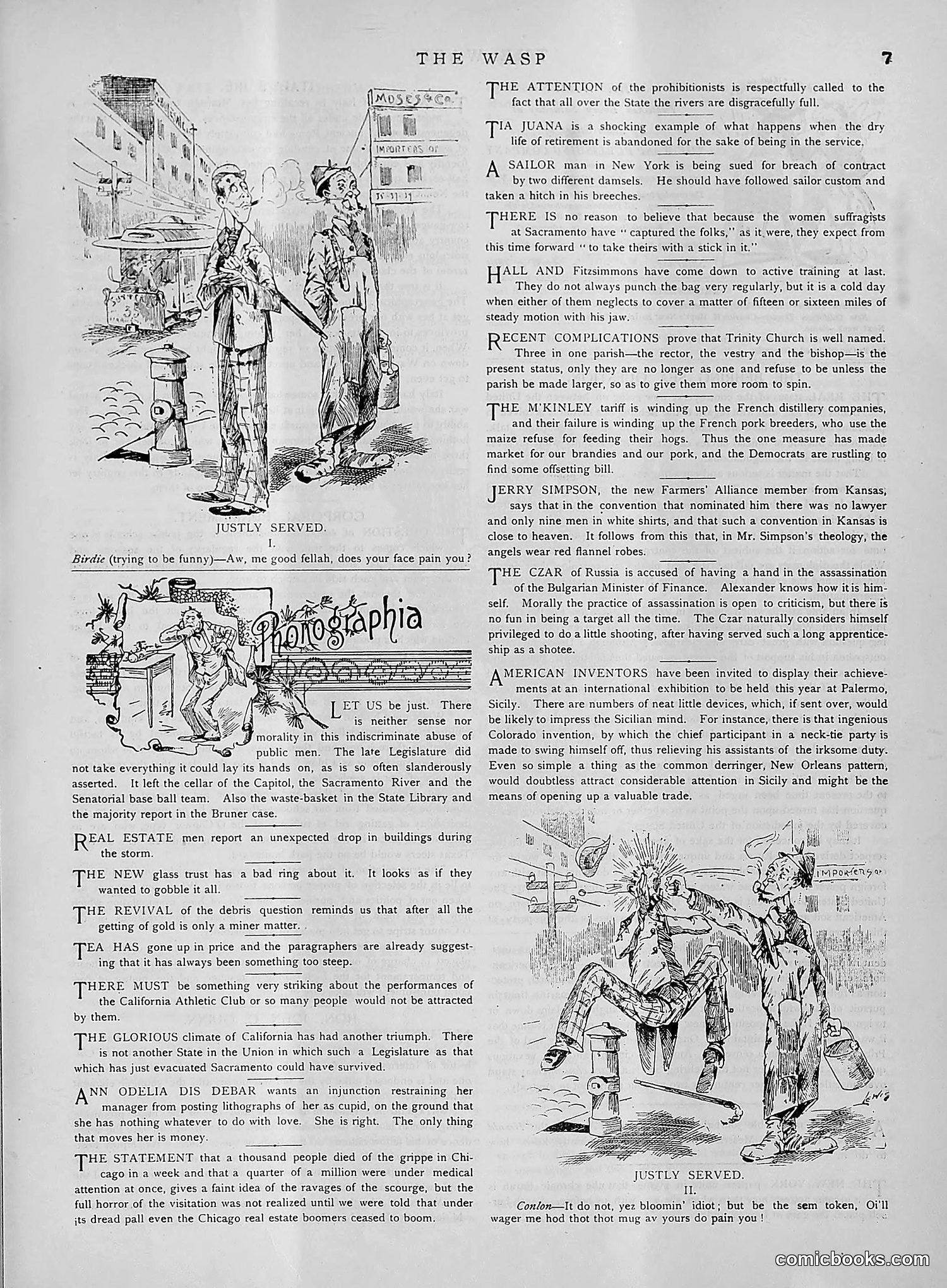 The Wasp — 1891 — page 316 of 612