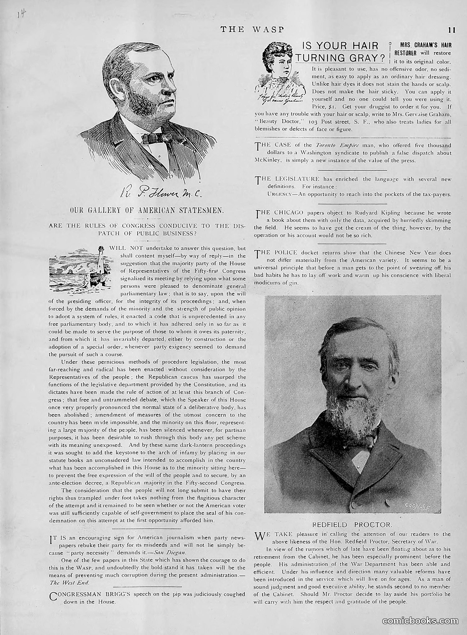 The Wasp — 1891 — page 320 of 612