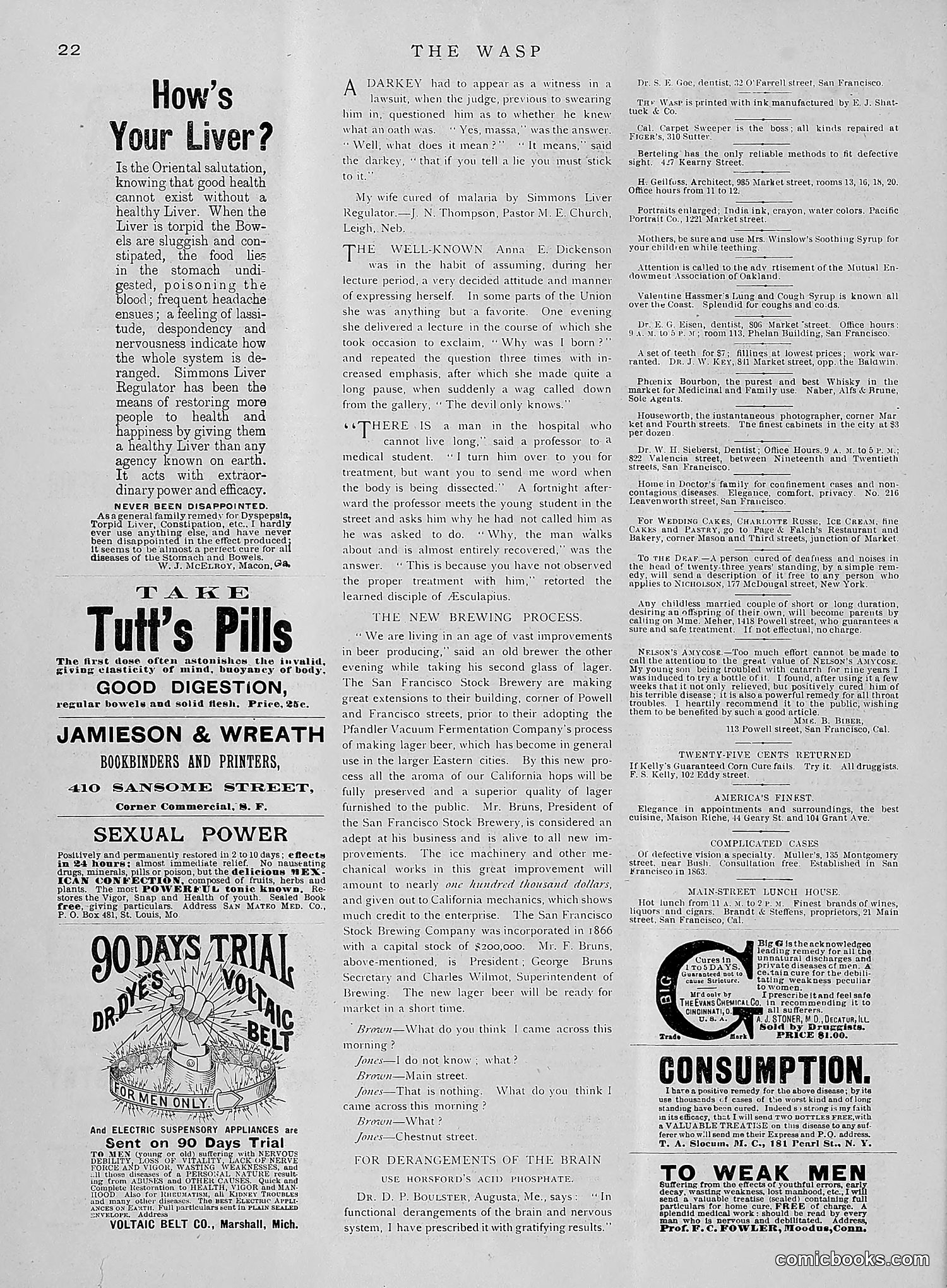 The Wasp — 1891 — page 33 of 612