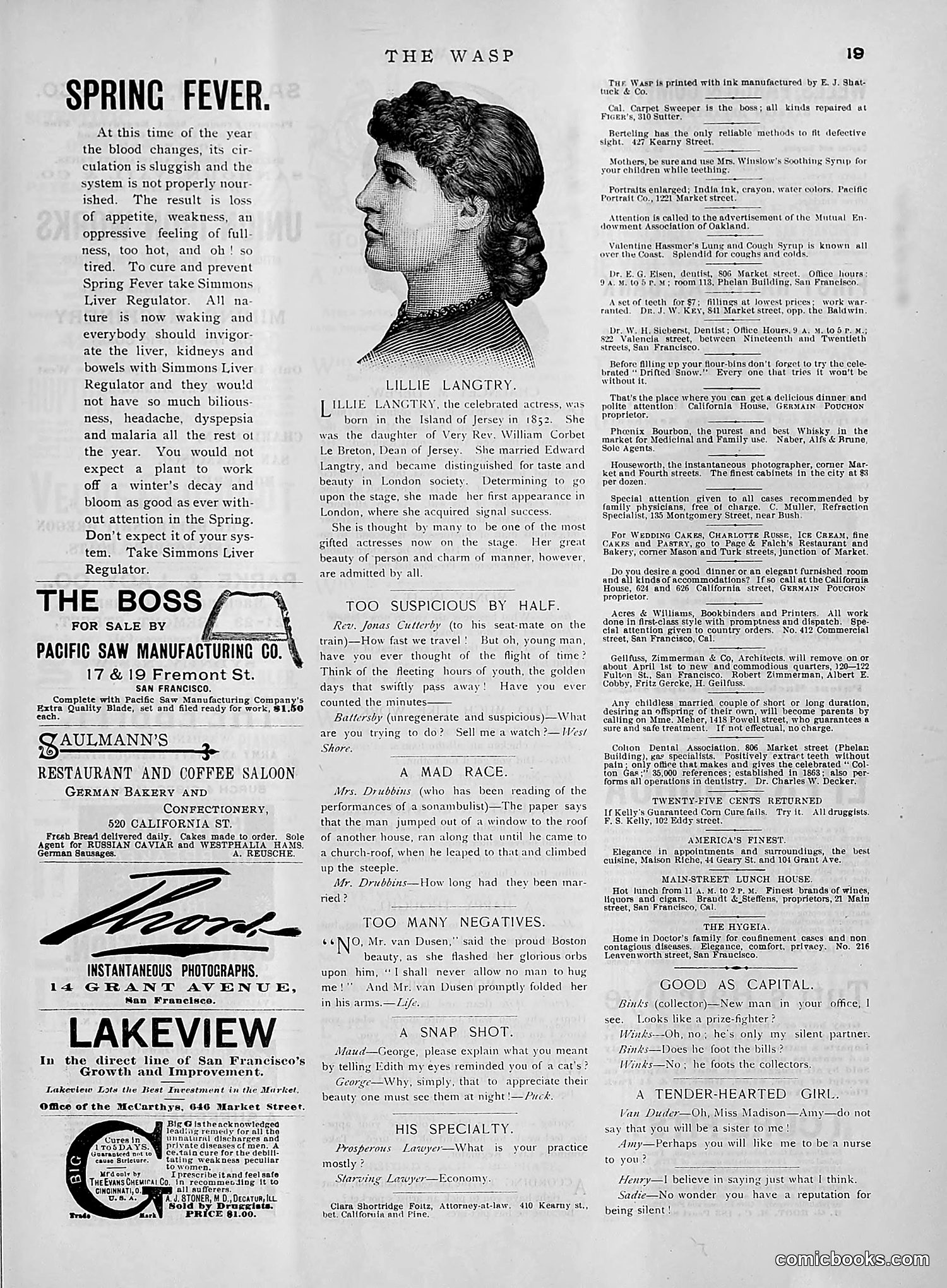 The Wasp — 1891 — page 328 of 612