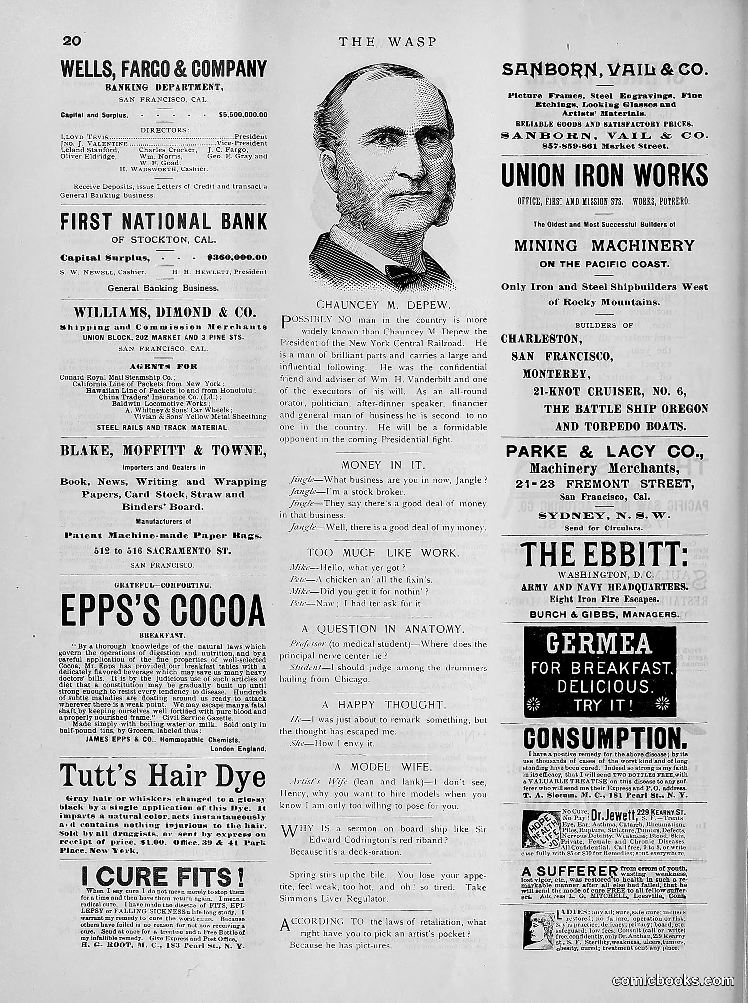 The Wasp — 1891 — page 329 of 612