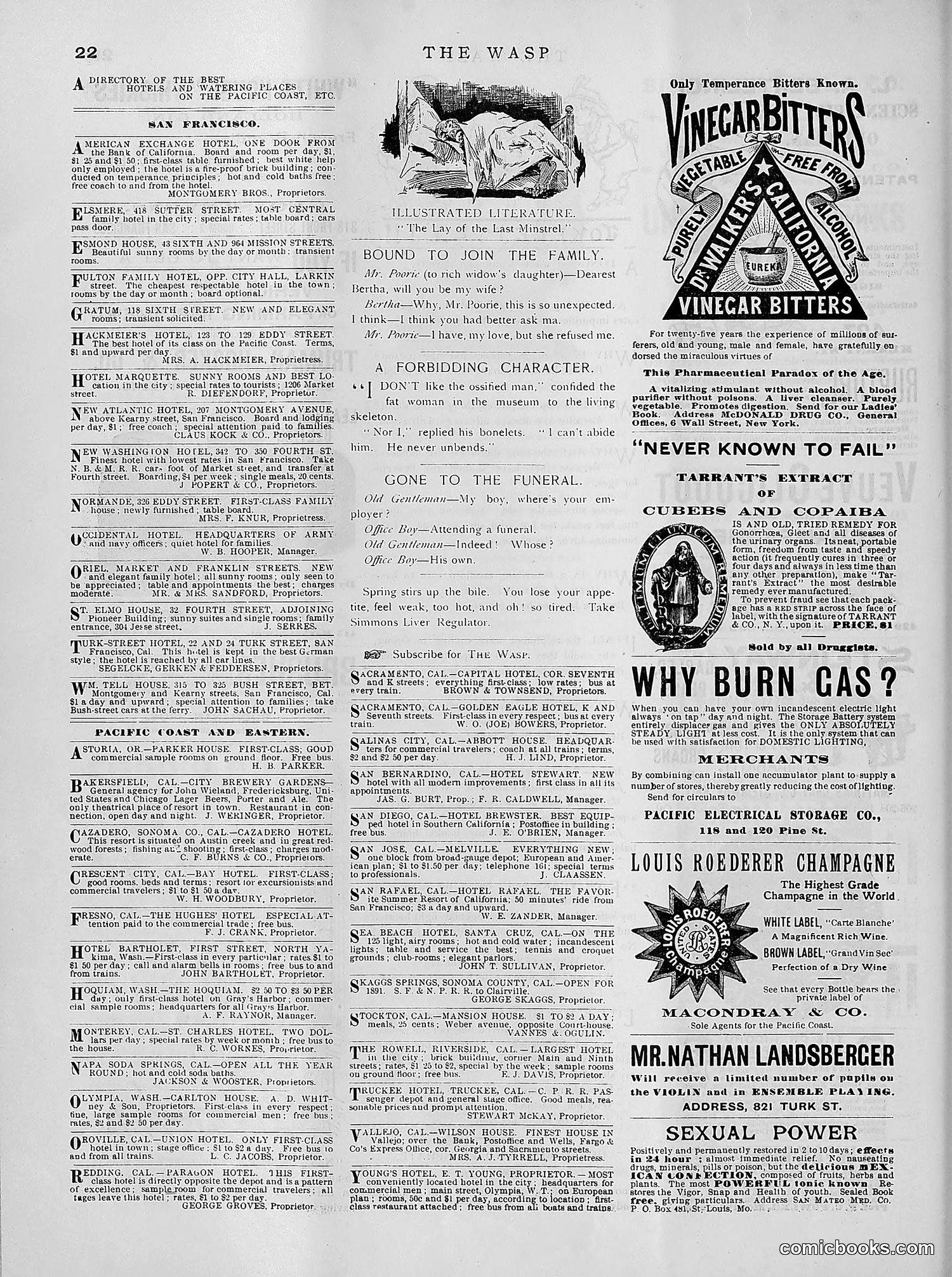 The Wasp — 1891 — page 331 of 612