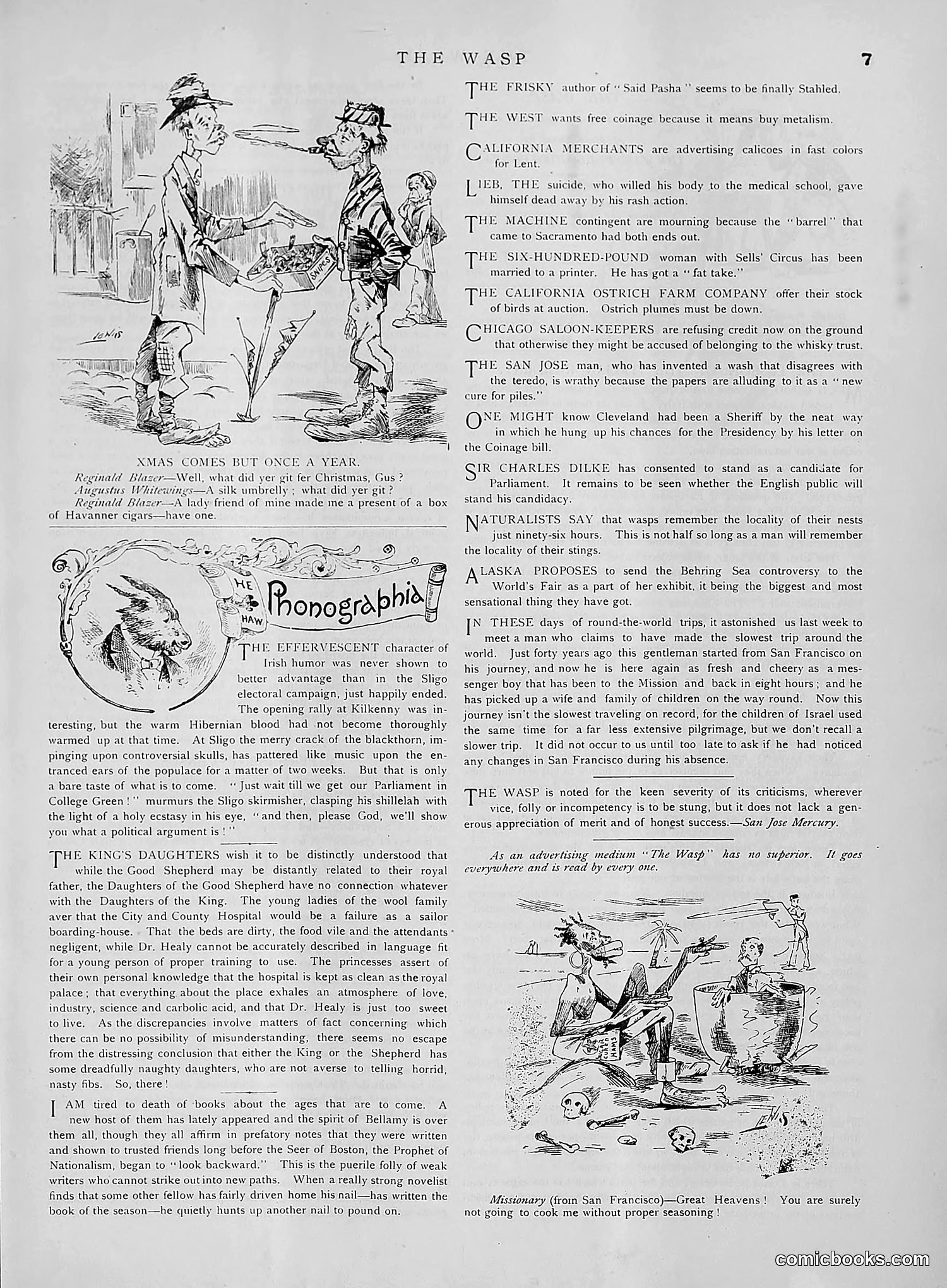 The Wasp — 1891 — page 340 of 612