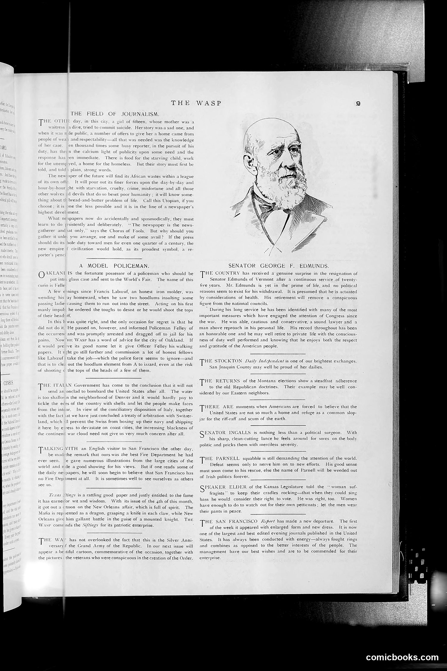 The Wasp — 1891 — page 342 of 612