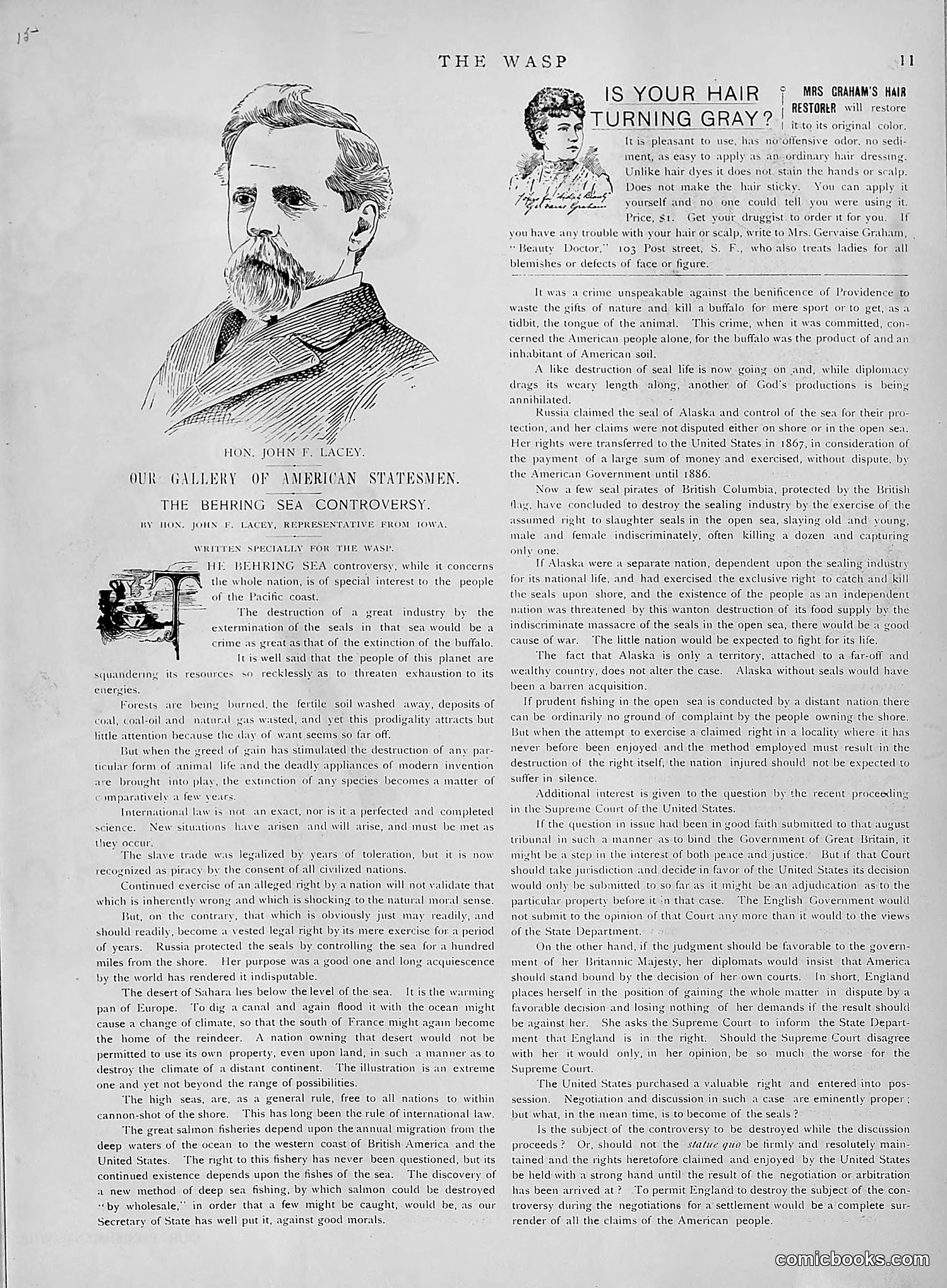 The Wasp — 1891 — page 346 of 612