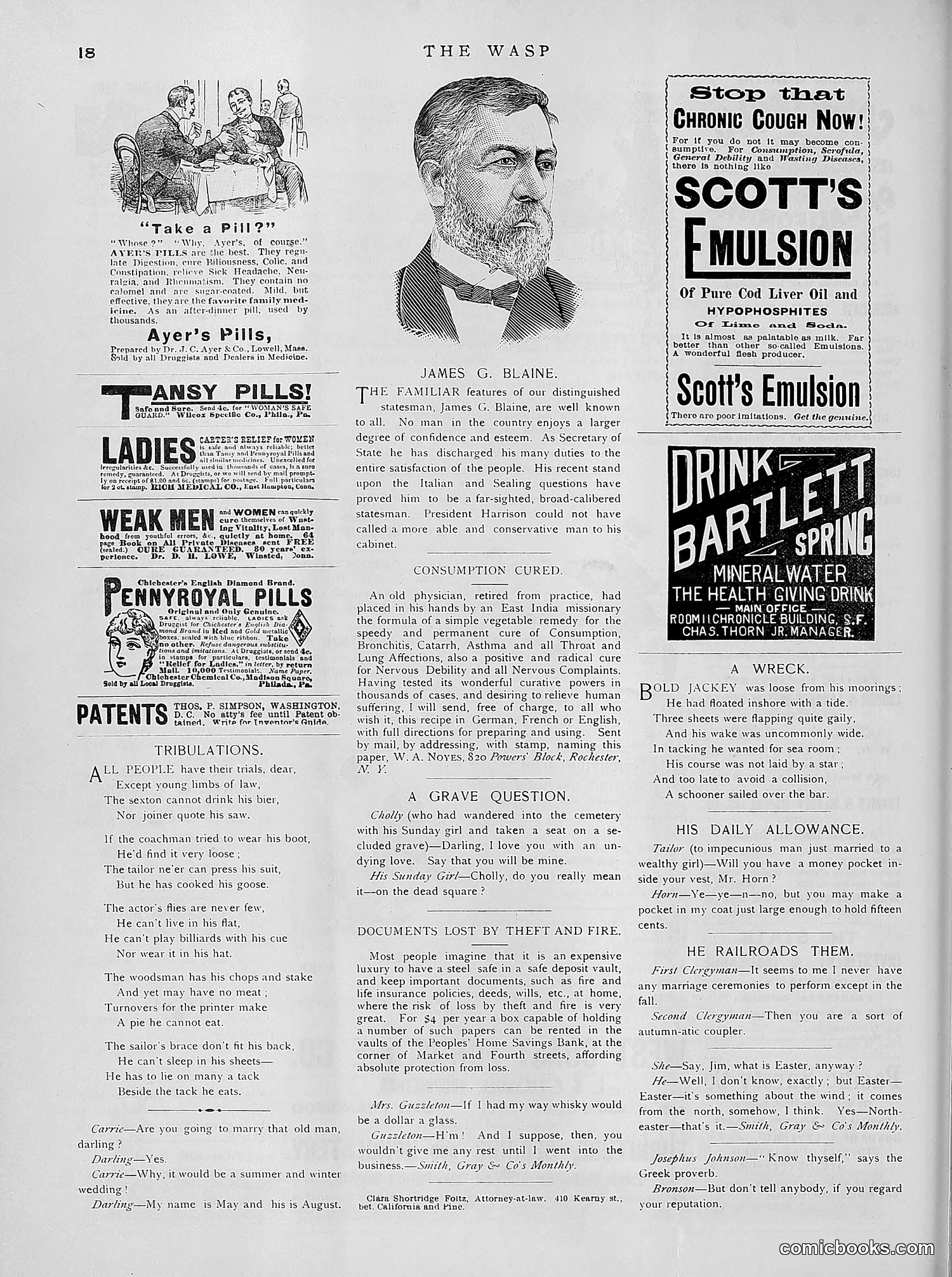The Wasp — 1891 — page 353 of 612