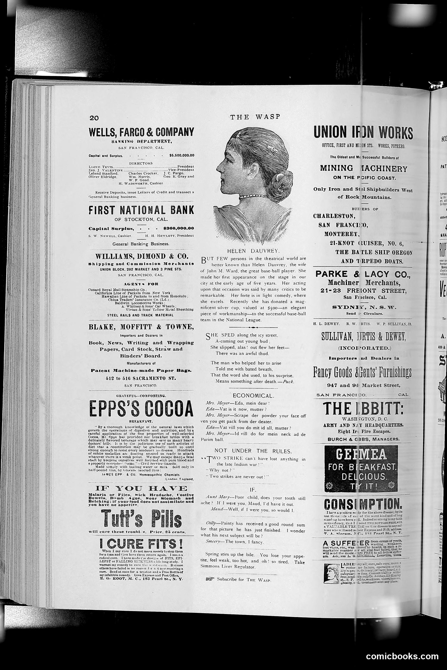 The Wasp — 1891 — page 355 of 612