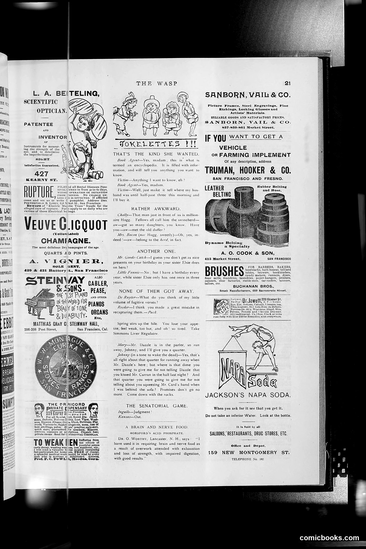 The Wasp — 1891 — page 356 of 612