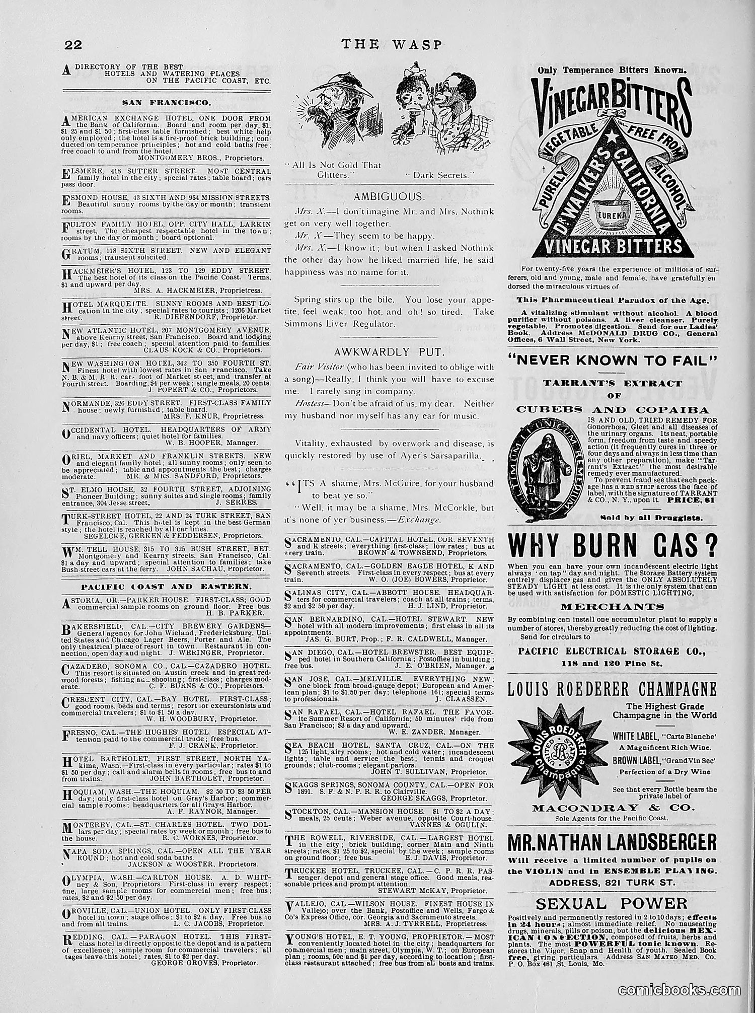 The Wasp — 1891 — page 359 of 612