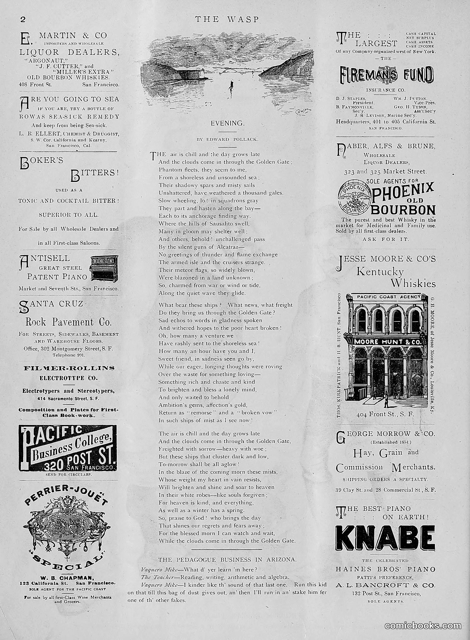 The Wasp — 1891 — page 37 of 612