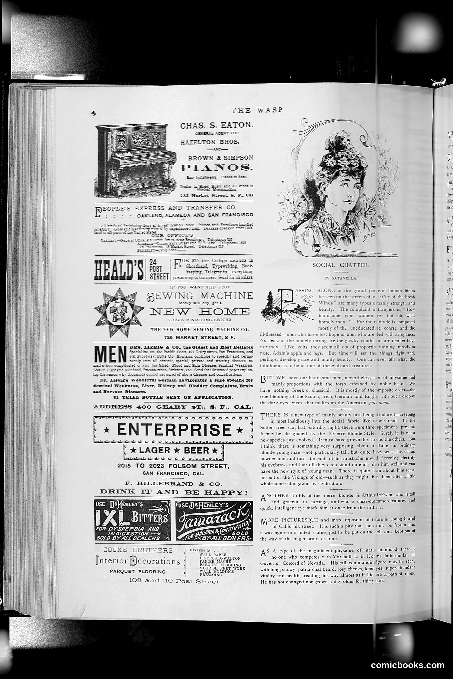 The Wasp — 1891 — page 365 of 612