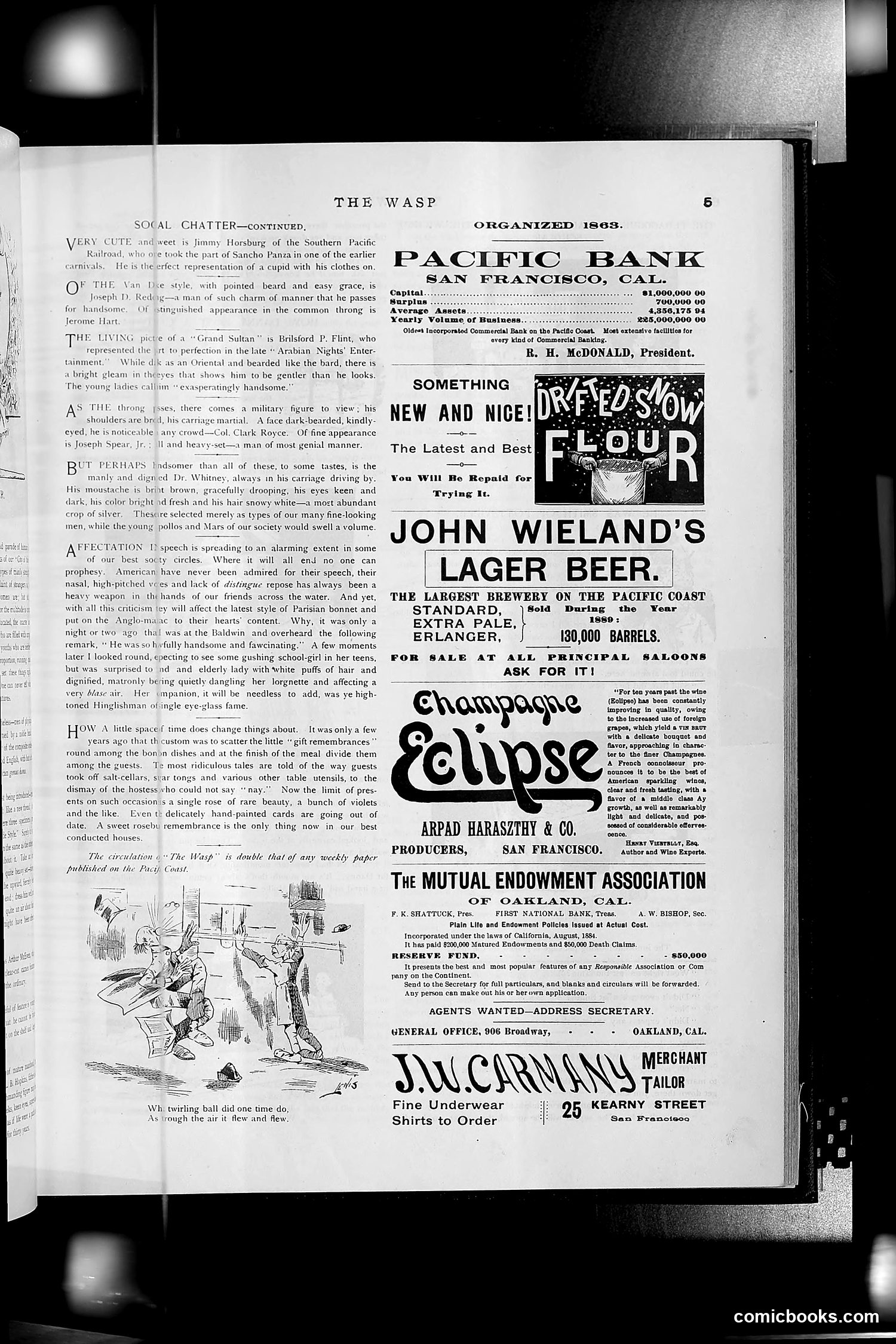 The Wasp — 1891 — page 366 of 612